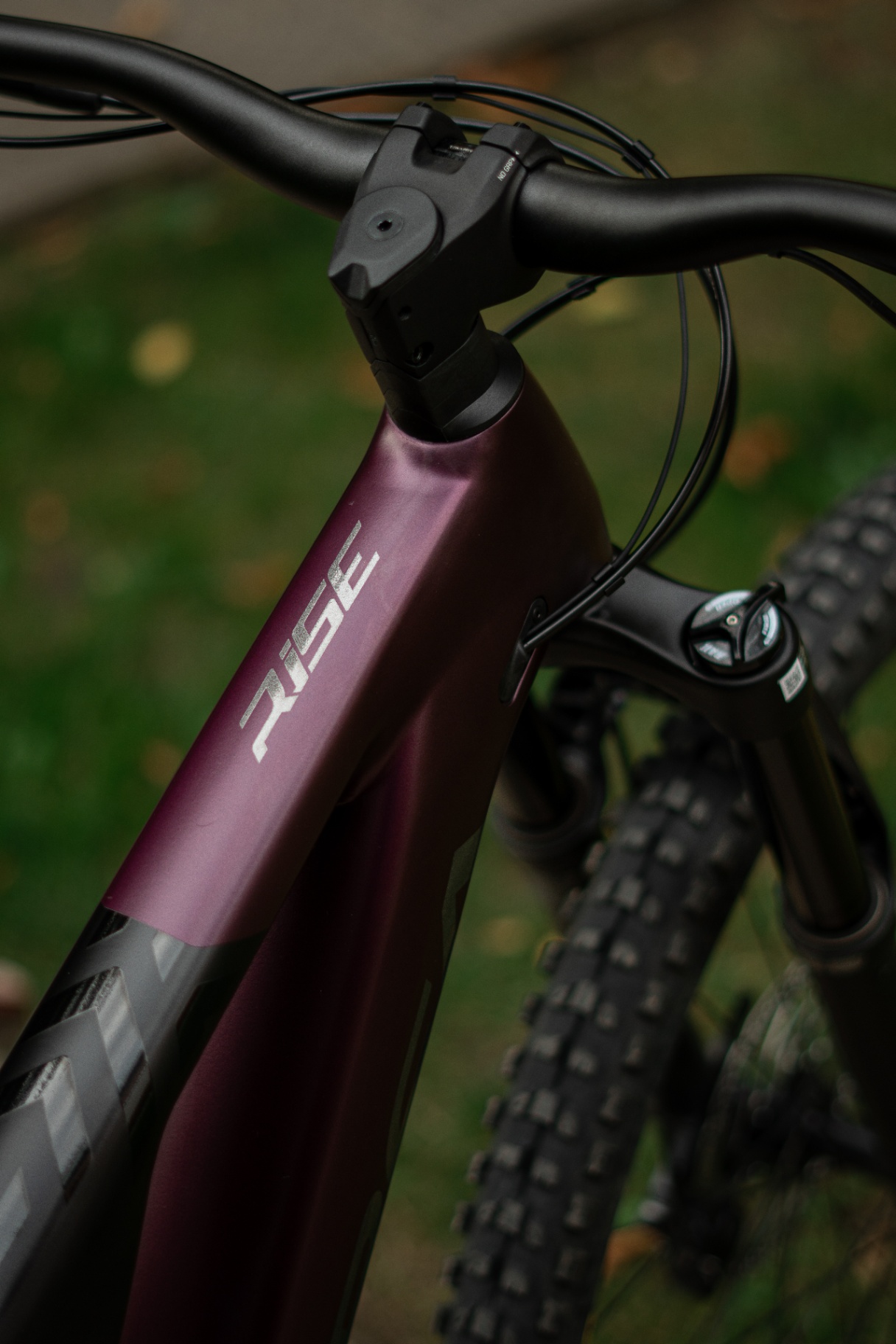 Bike view 5