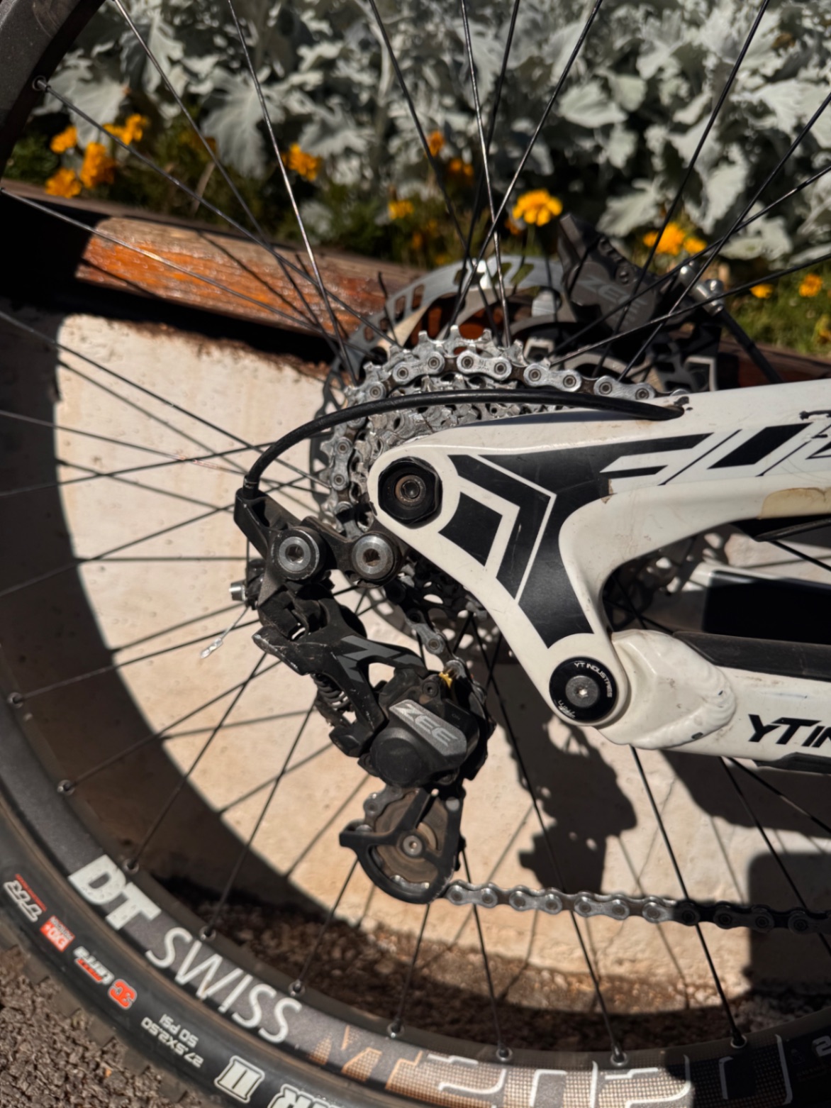 Bike view 8