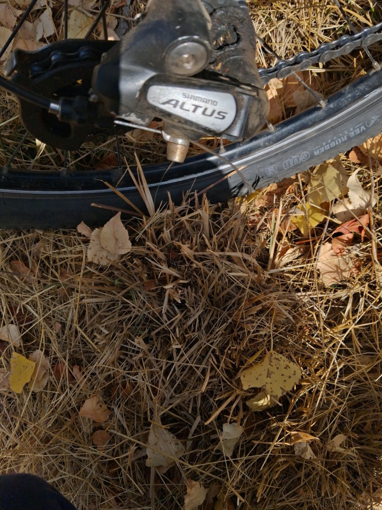 Bike view 9