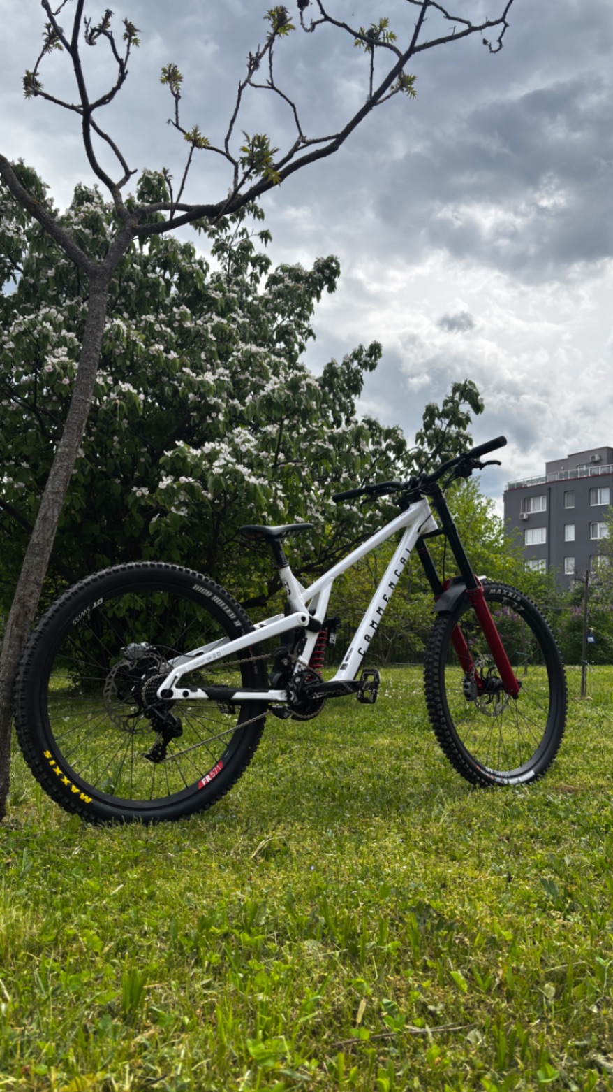 Bike view 10