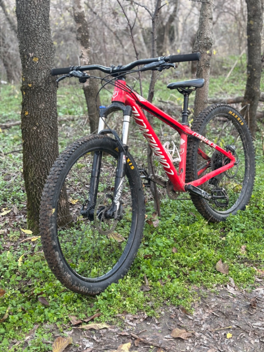 Bike view 10