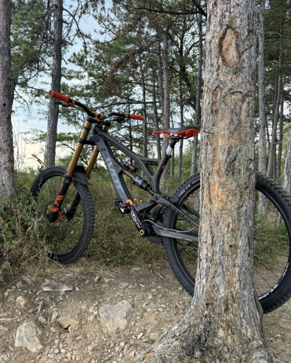 Bike view 7