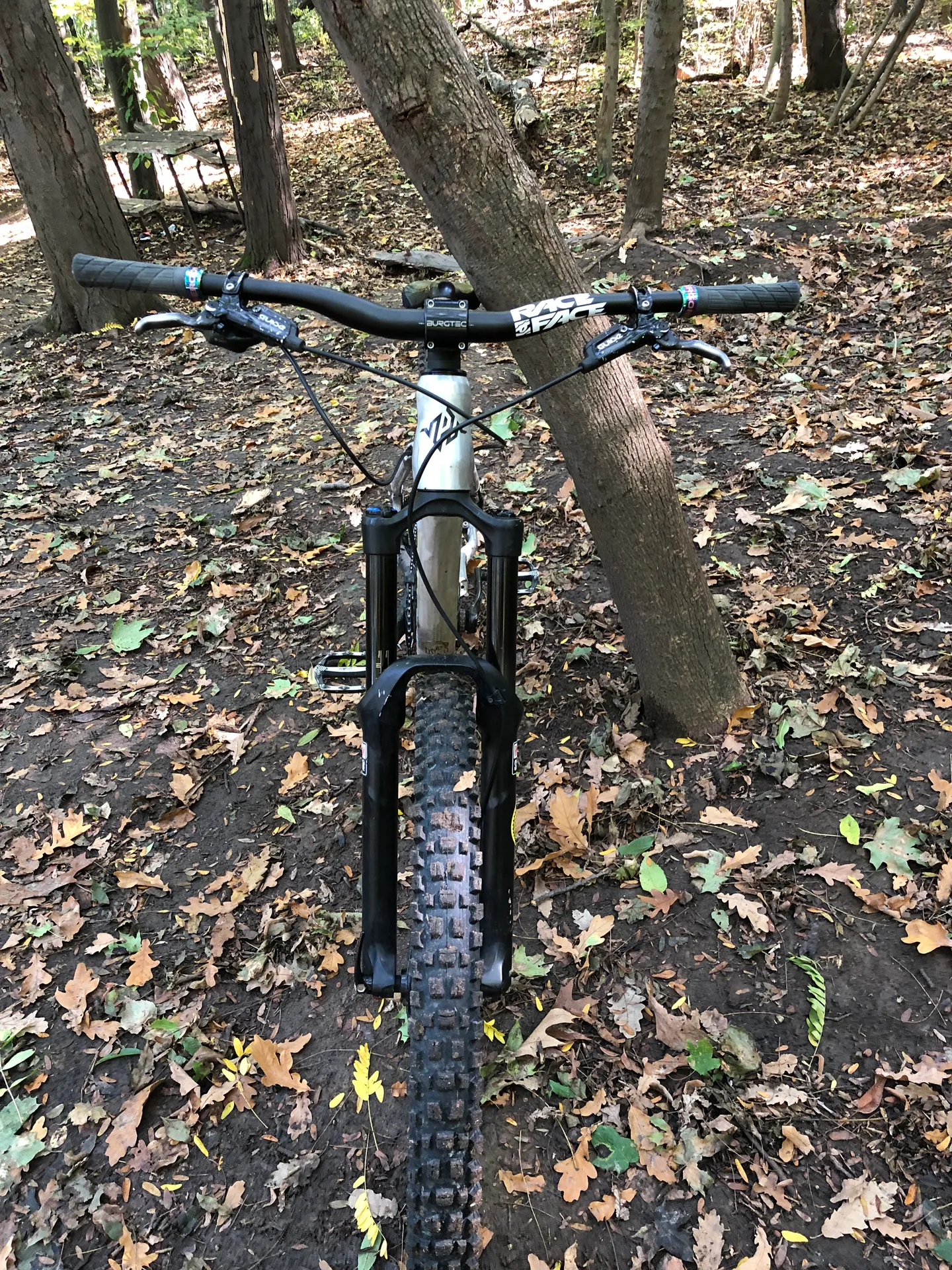 Pulse Rs1 view 2