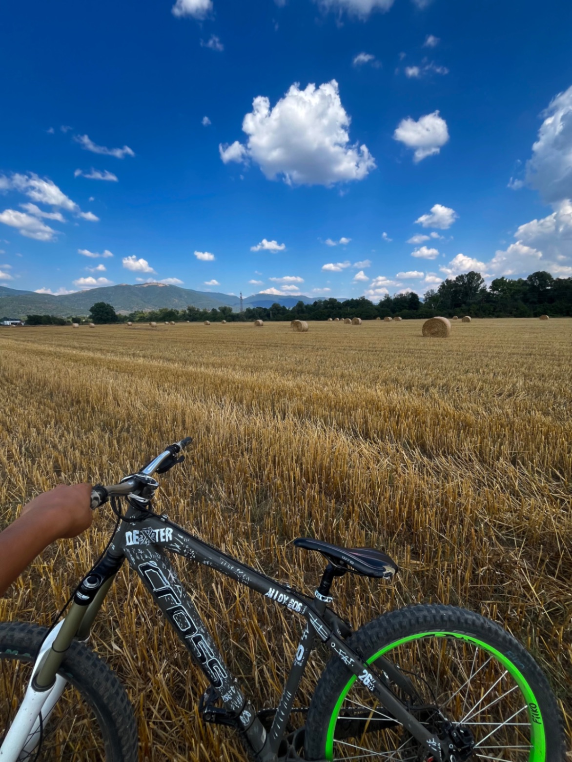 Bike view 5