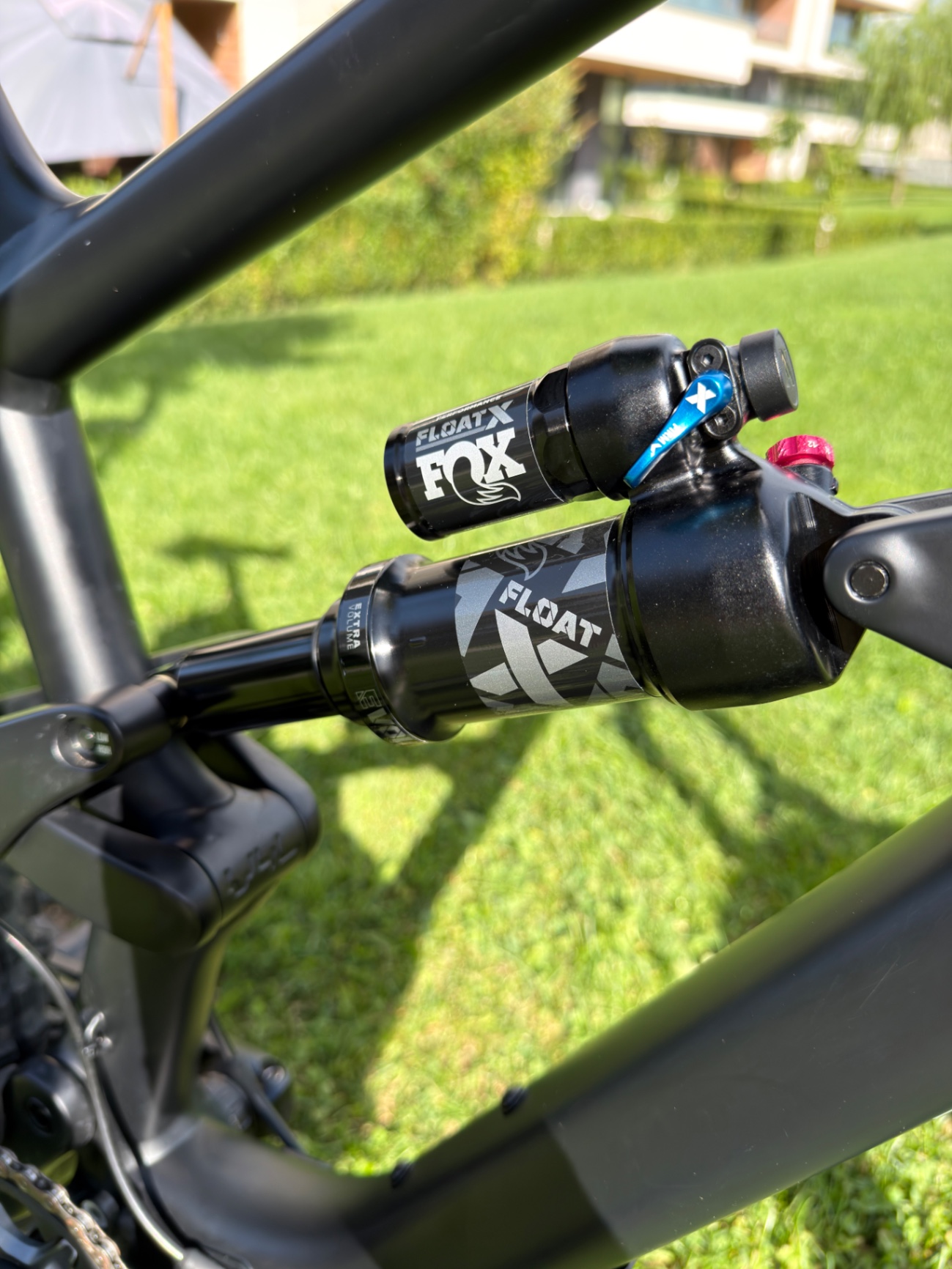 Bike view 5