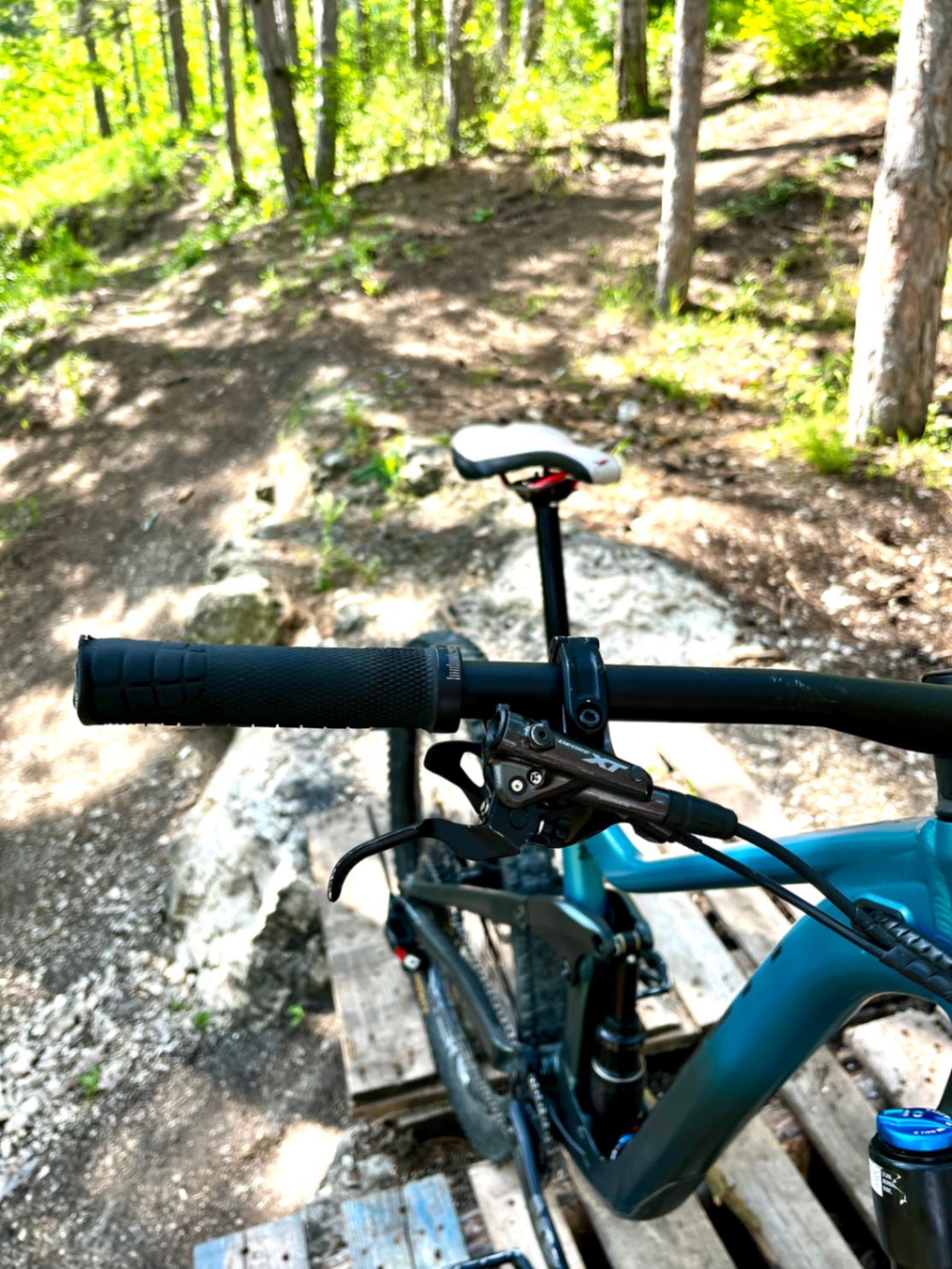 Bike view 6