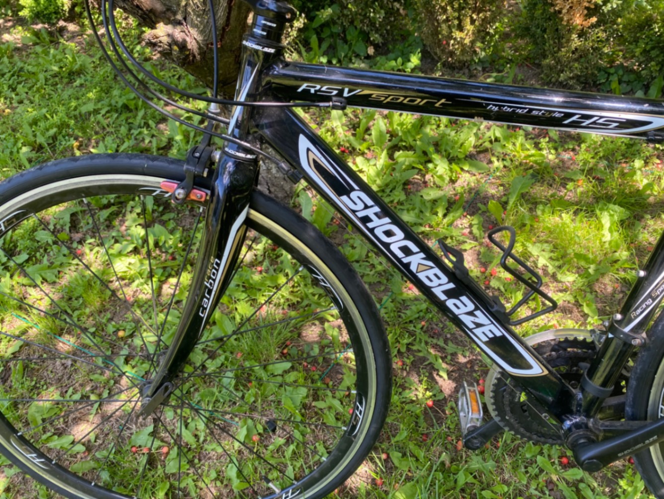 Bike view 2