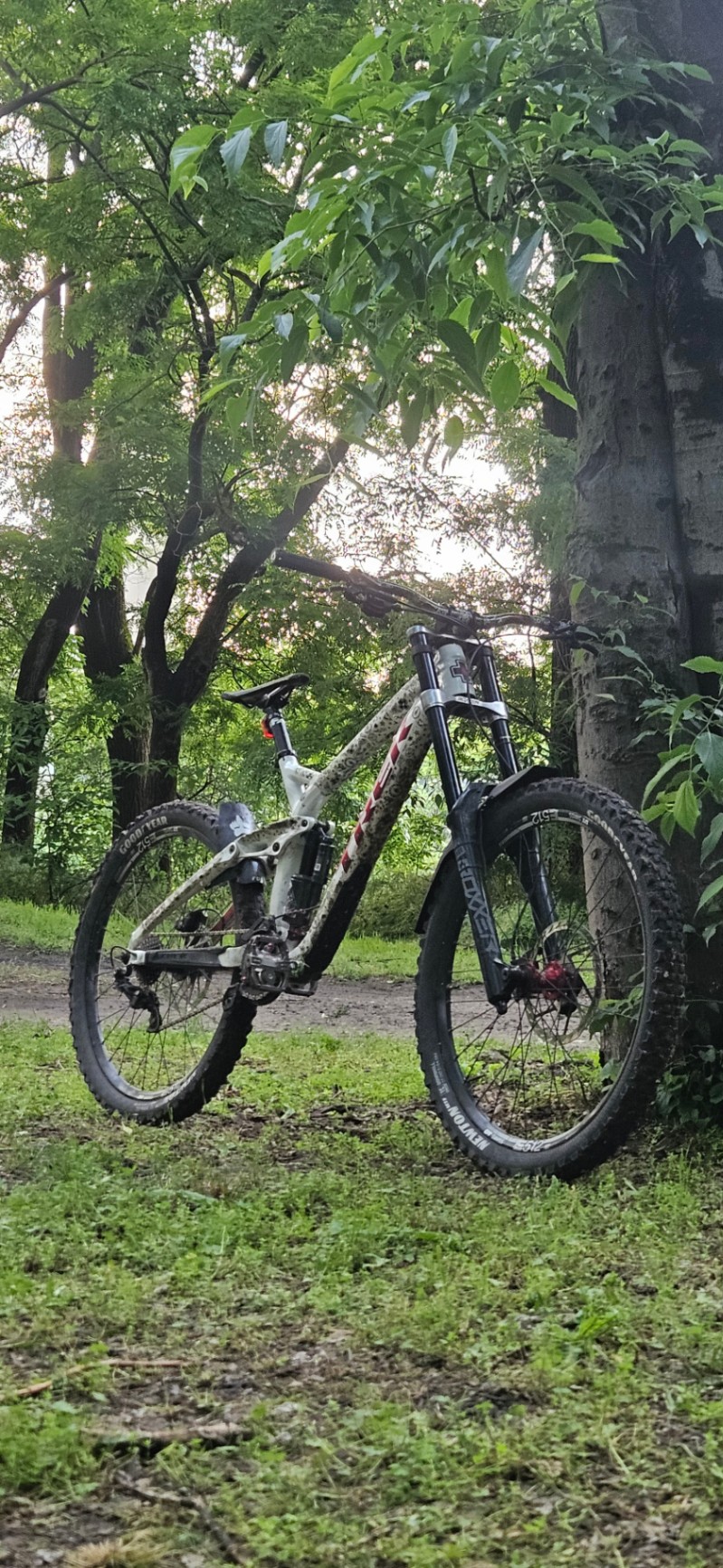 Trek Session 8