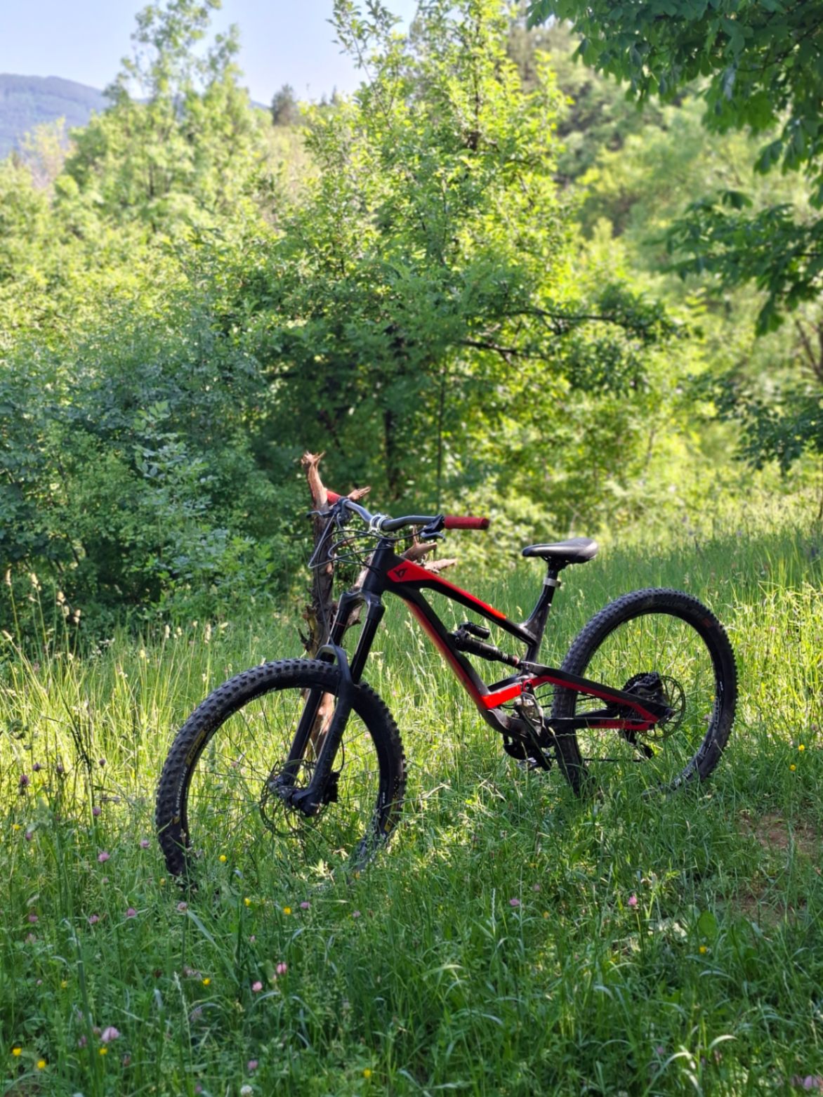 Bike view 4