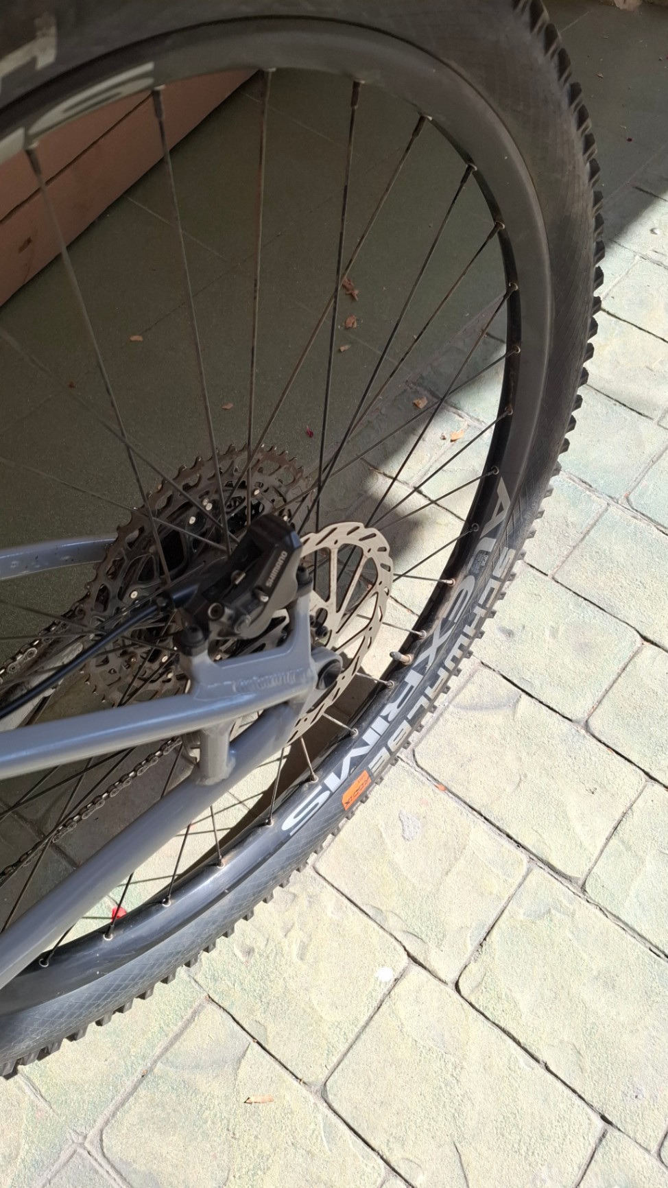 Bike view 8