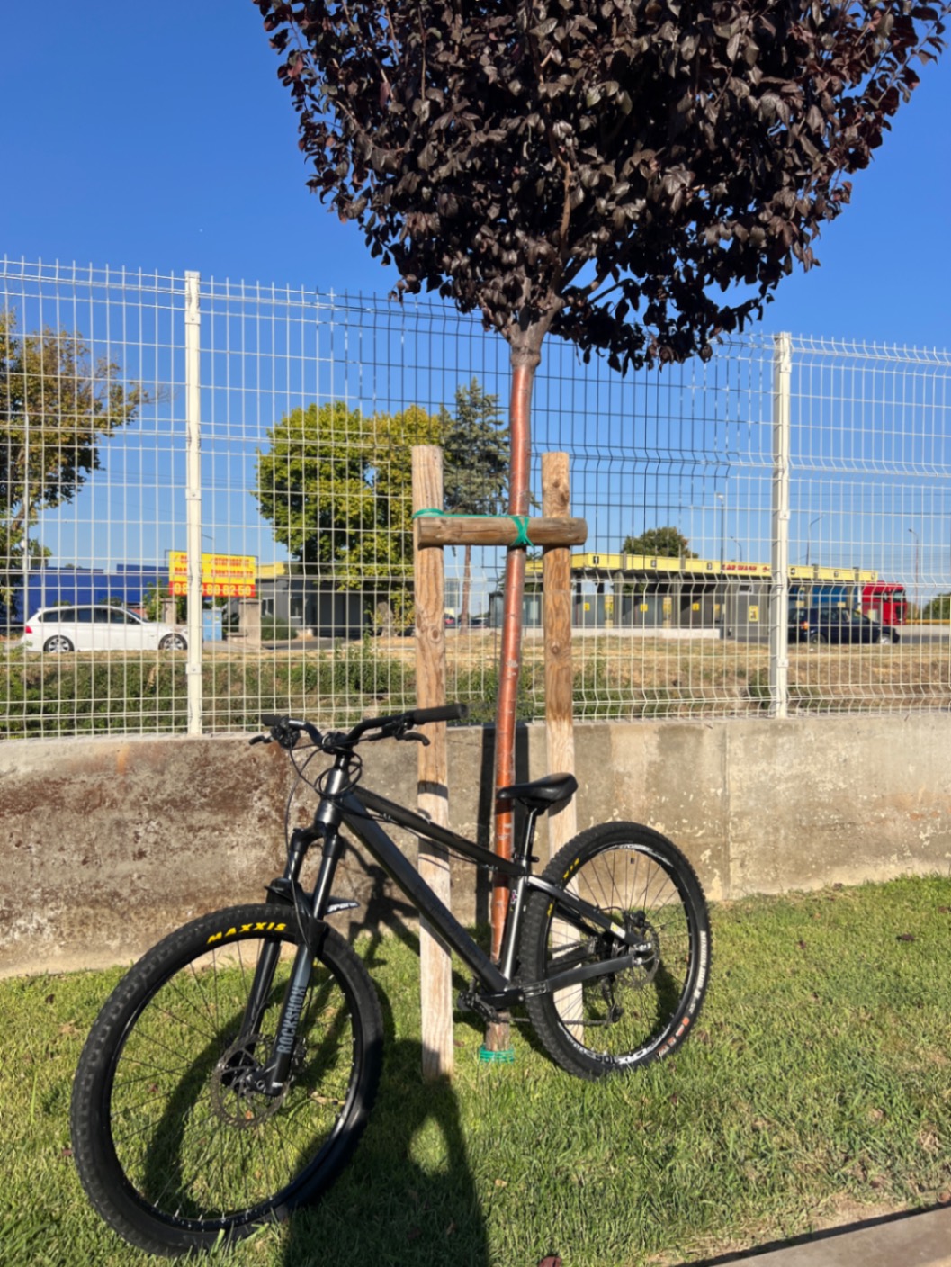 Bike view 7