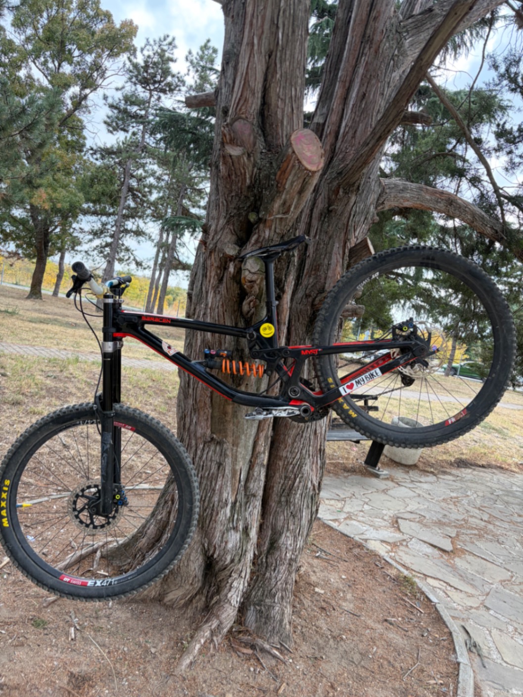Saracen Myst x carbon view 3