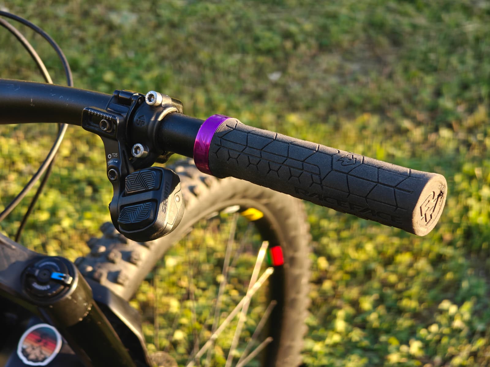 Bike view 9