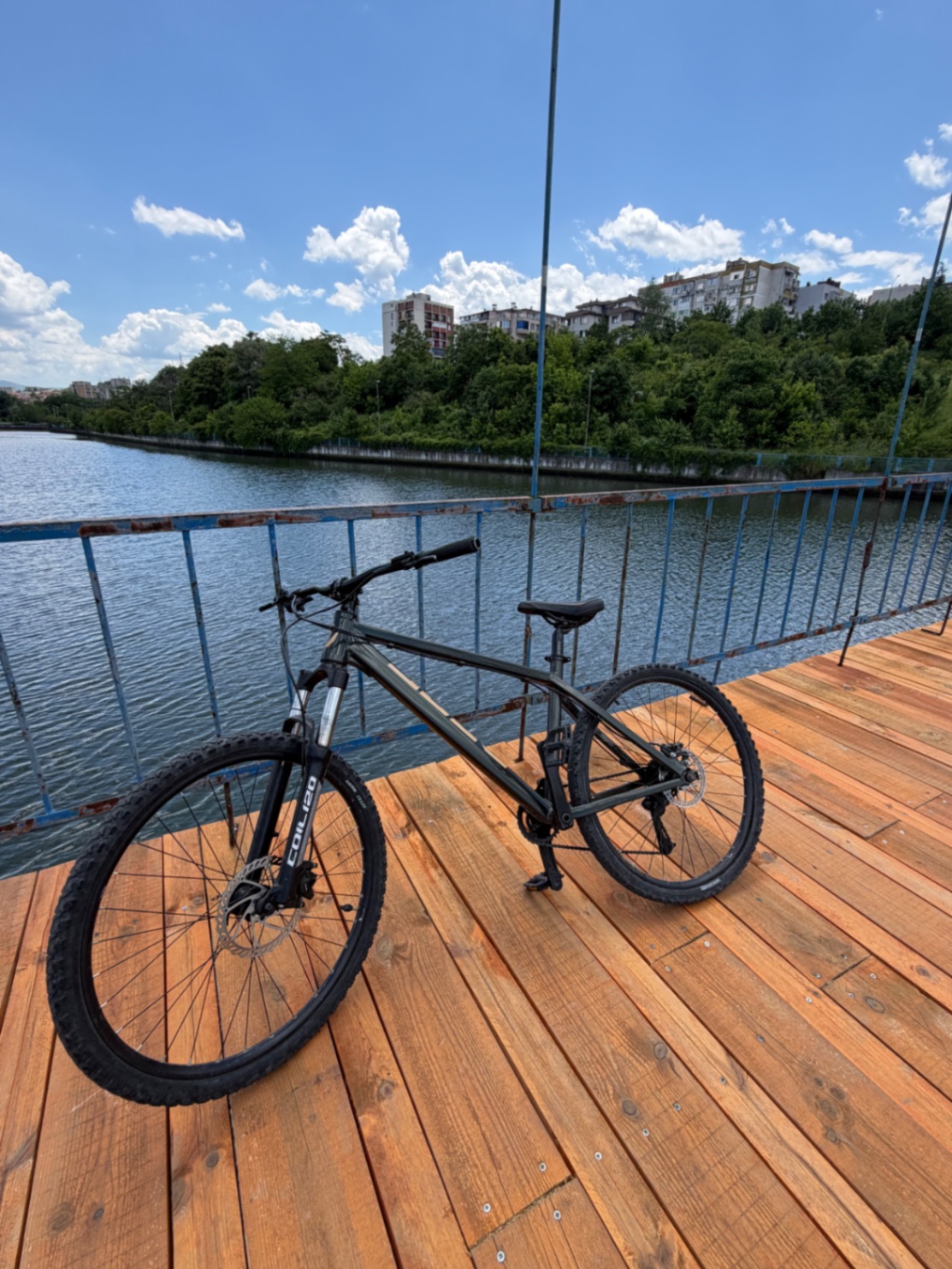 Bike view 5