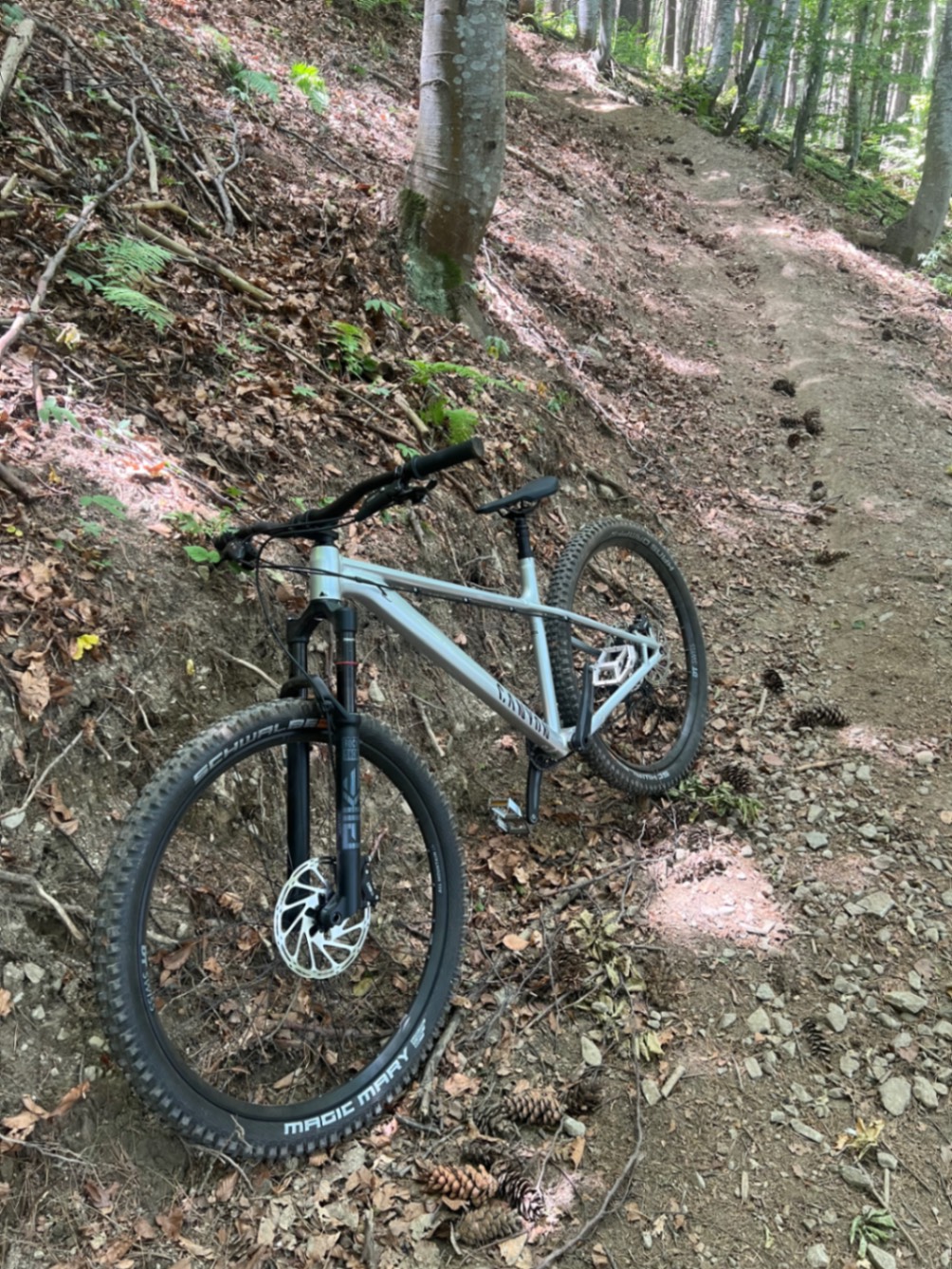 Bike view 4