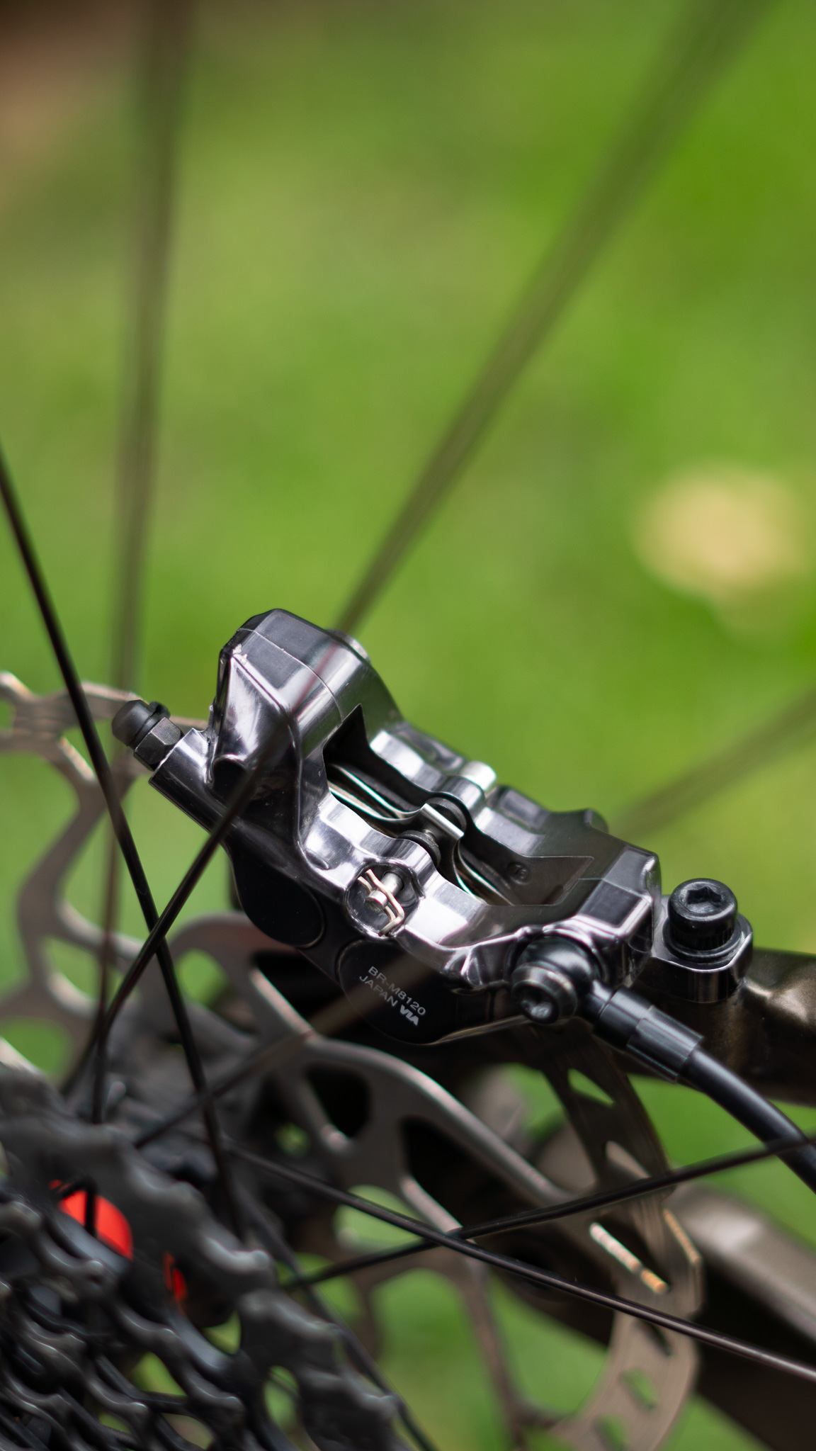 Bike view 11
