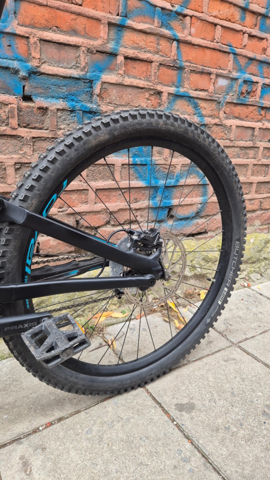 Bike view 8