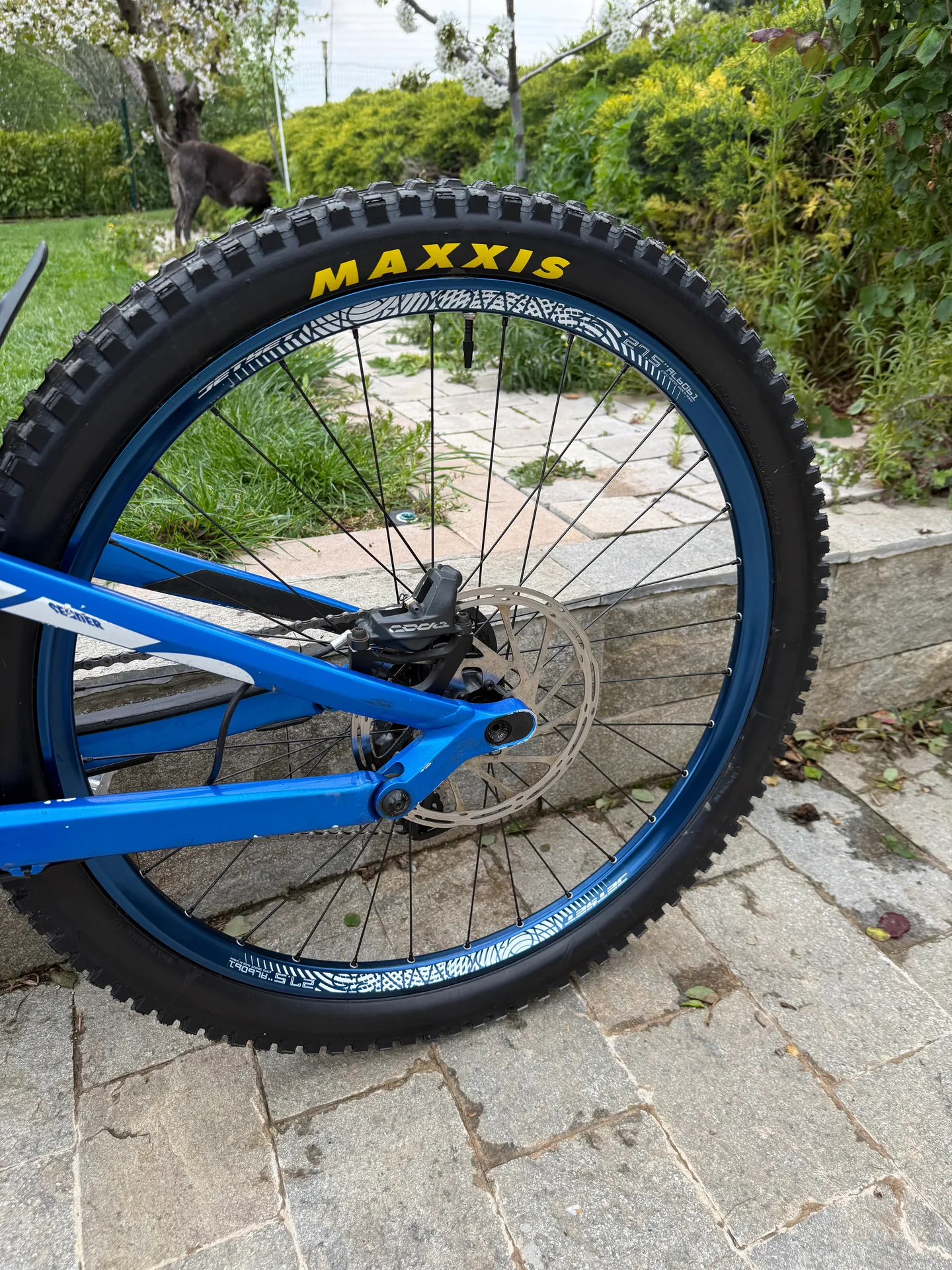 Canyon Sender AL 6.0 view 5