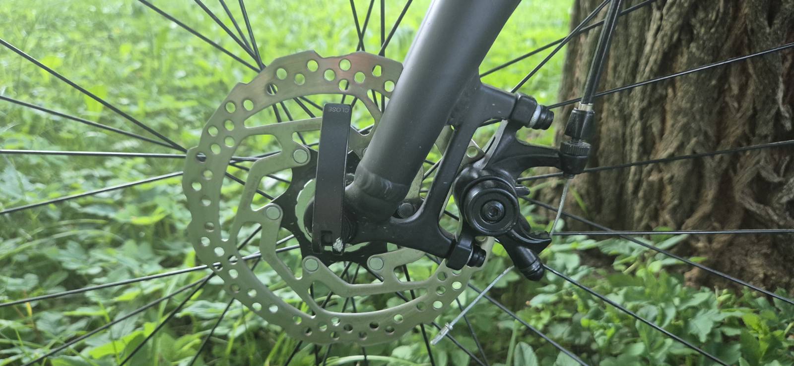 Bike view 2