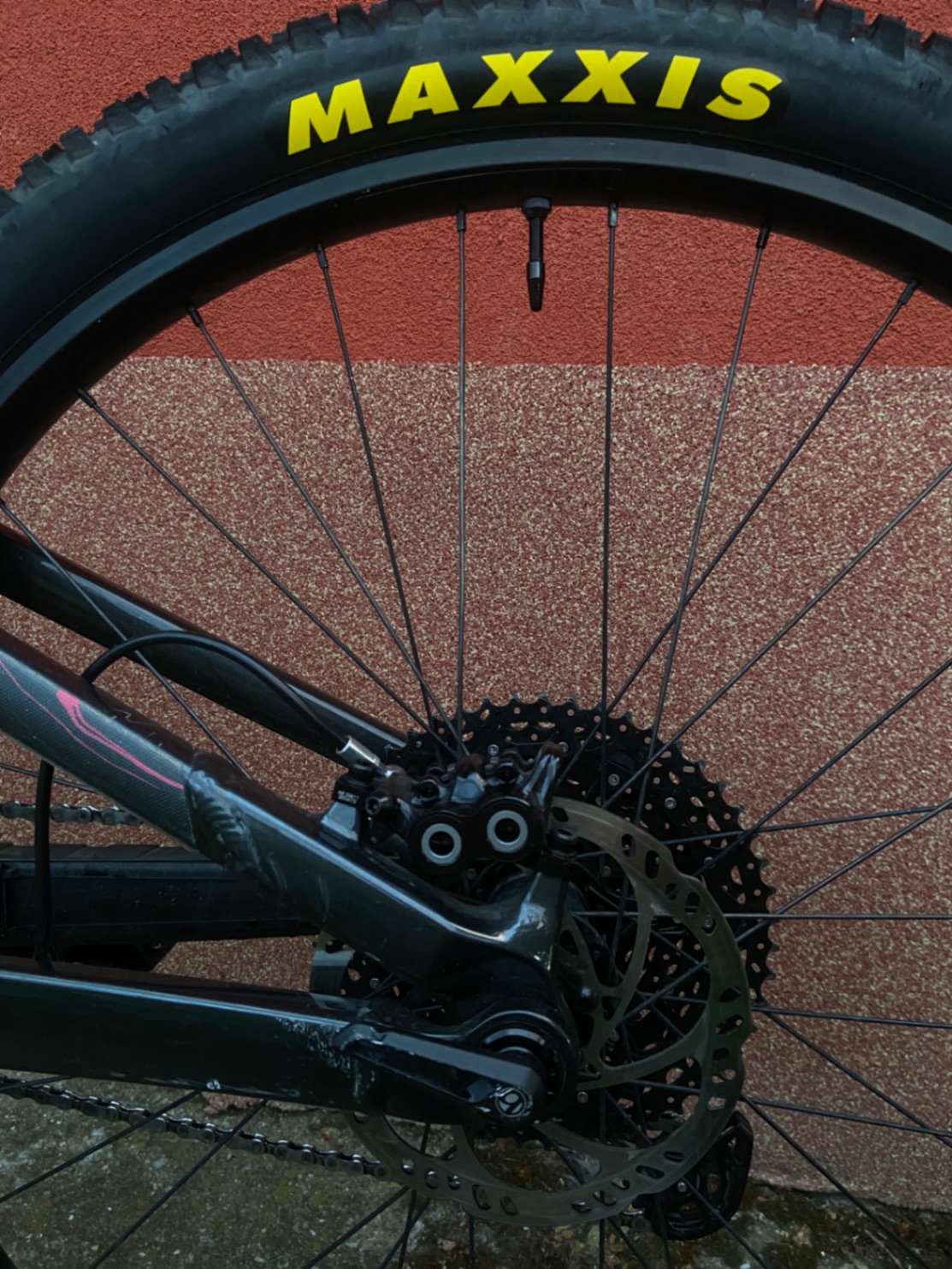 Bike view 12