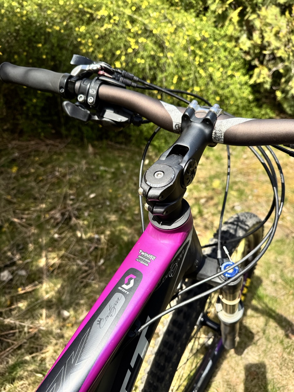 Bike view 7