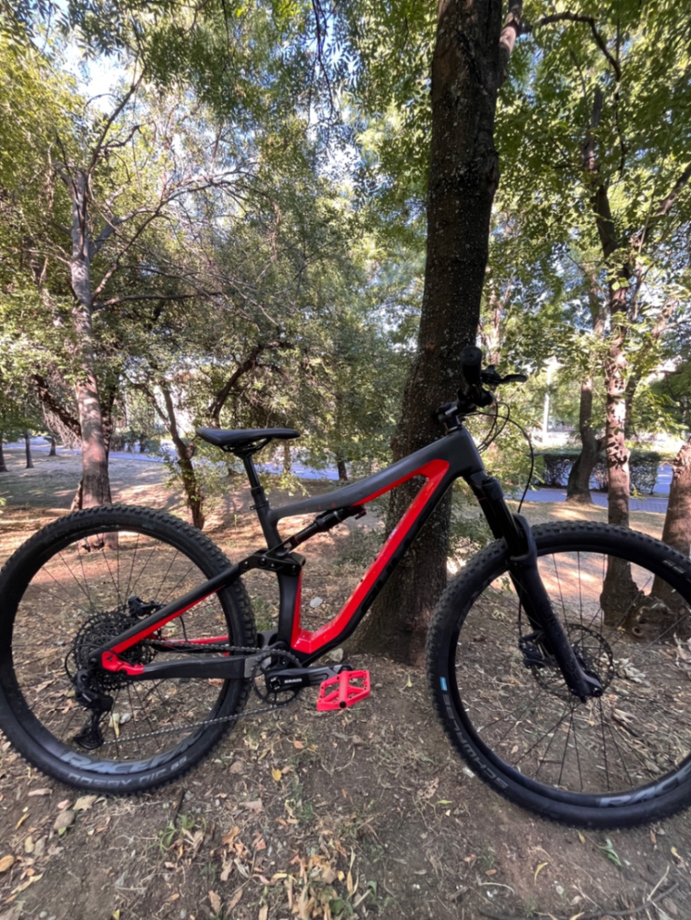 Bike view 4