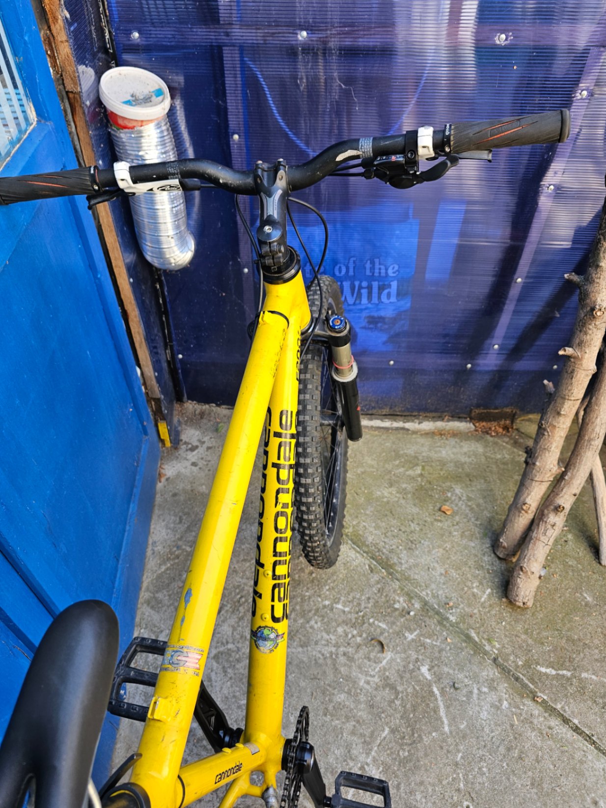 Bike view 5