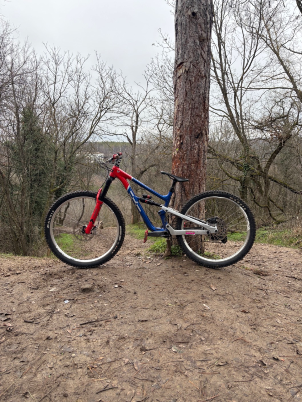 Bike view 6