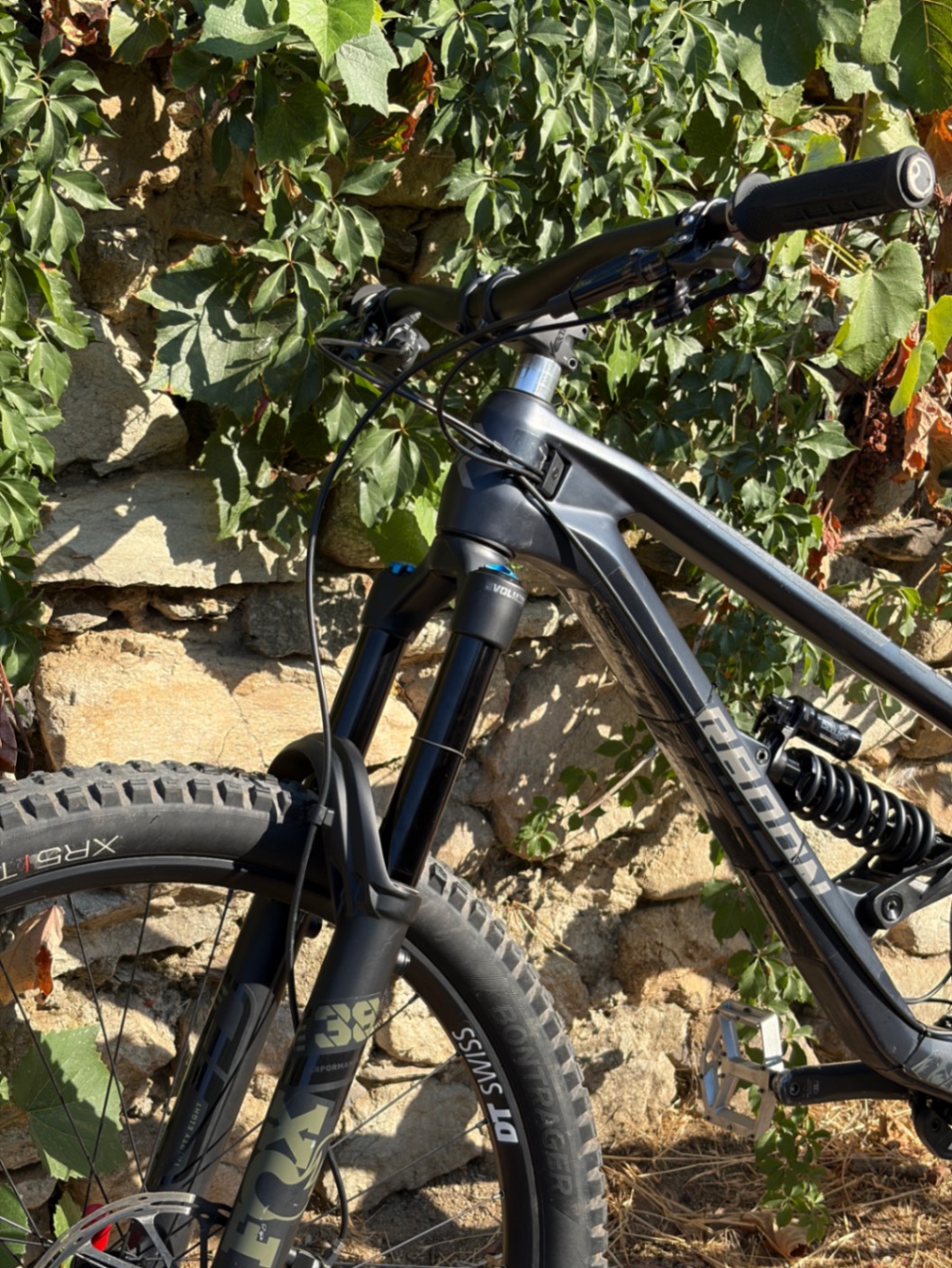 Bike view 7