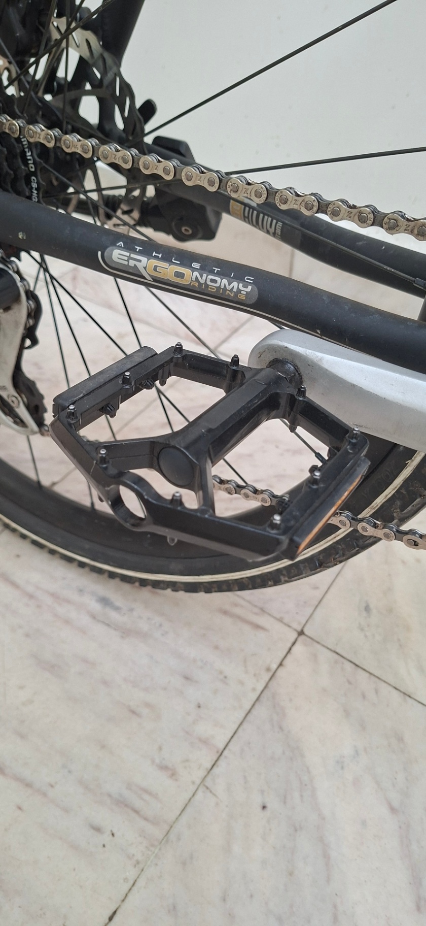 Bike view 11