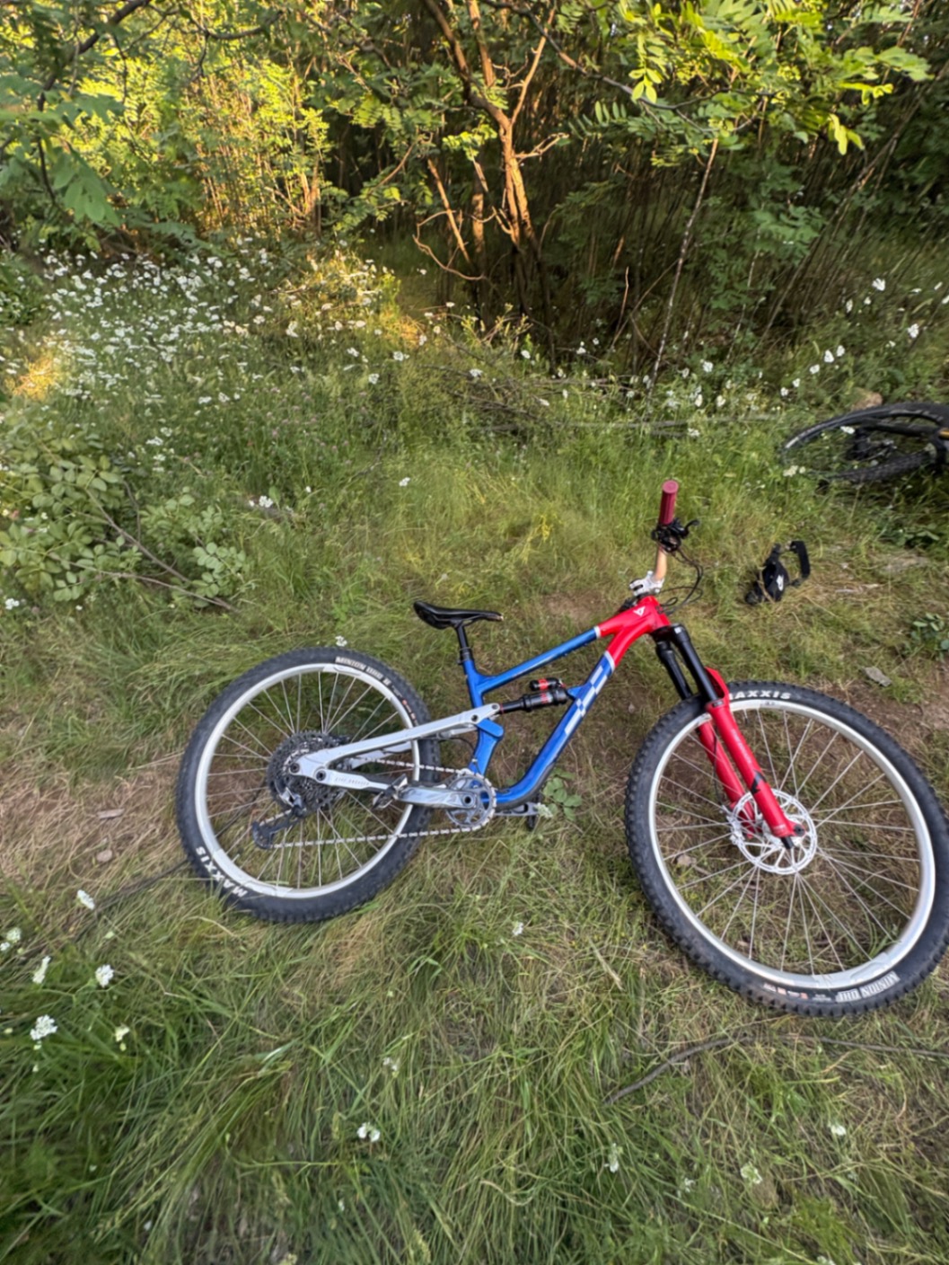 Bike view 2