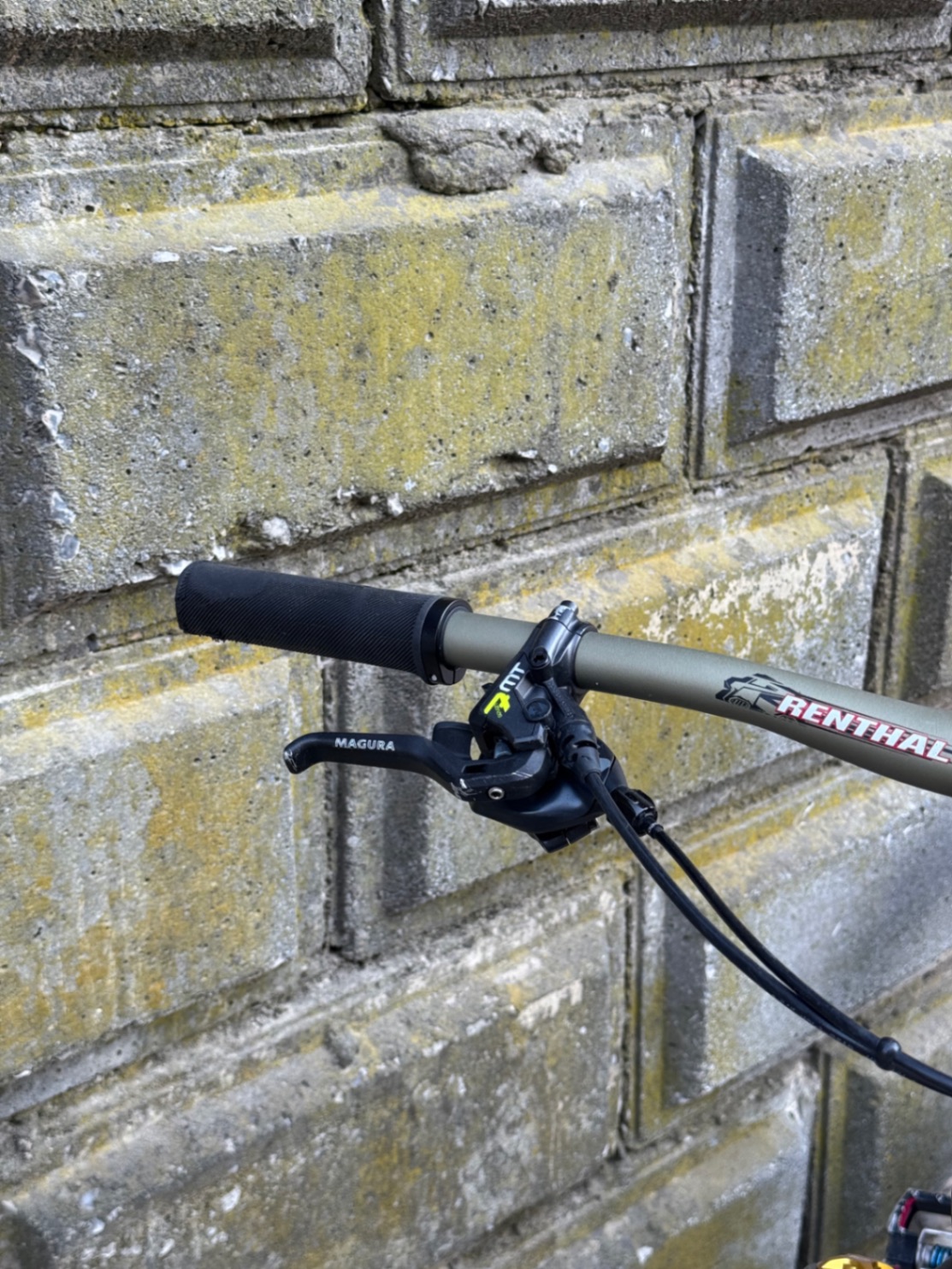 Bike view 7