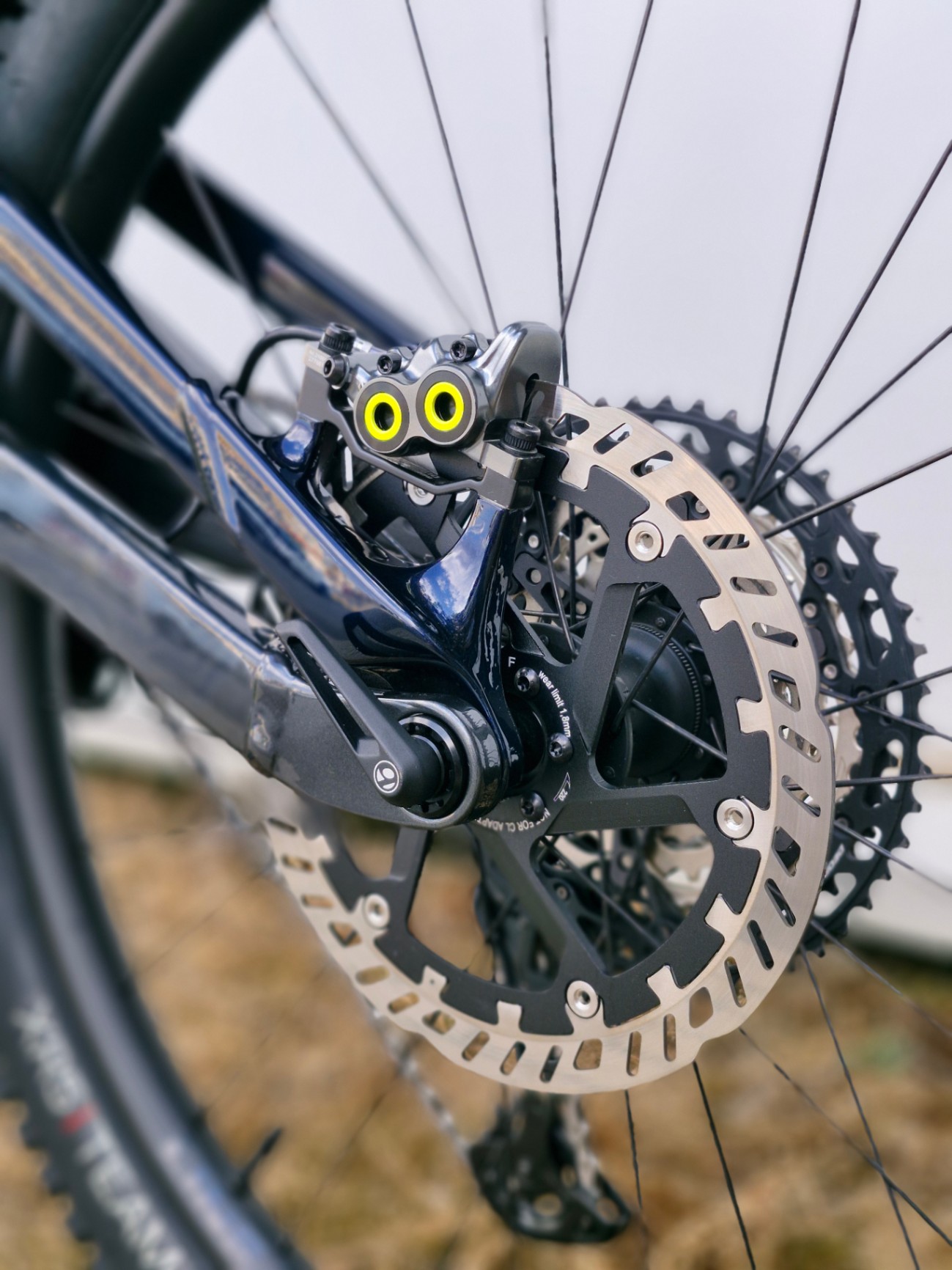 Bike view 7
