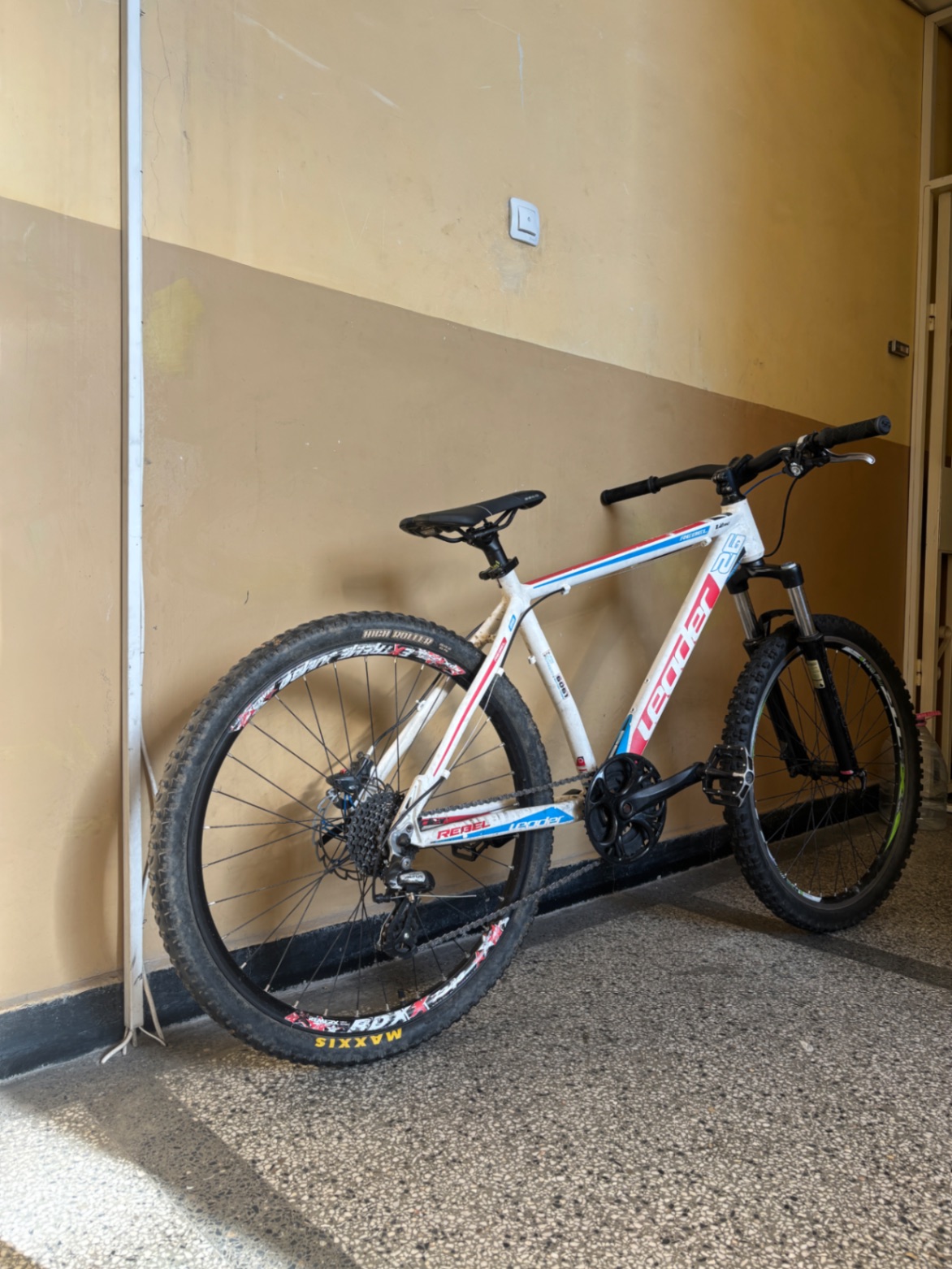 LEADER FOX Rebel 26