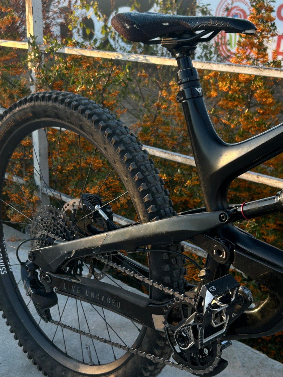 Bike view 4