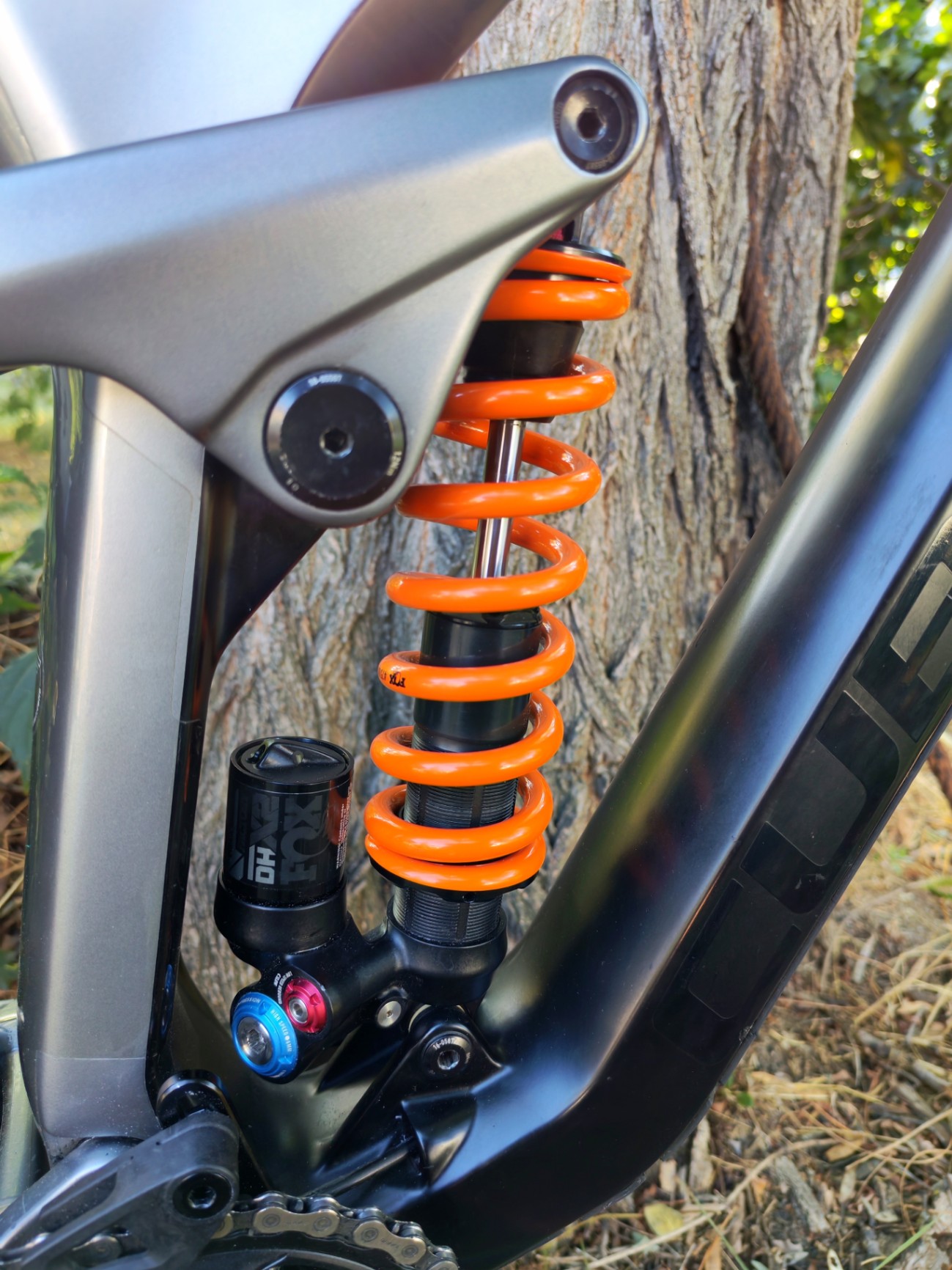 Bike view 7