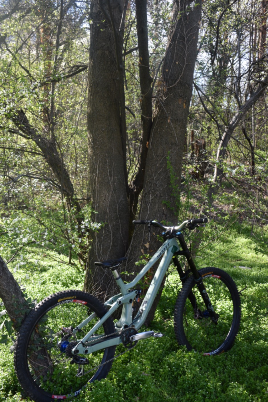 Bike view 5