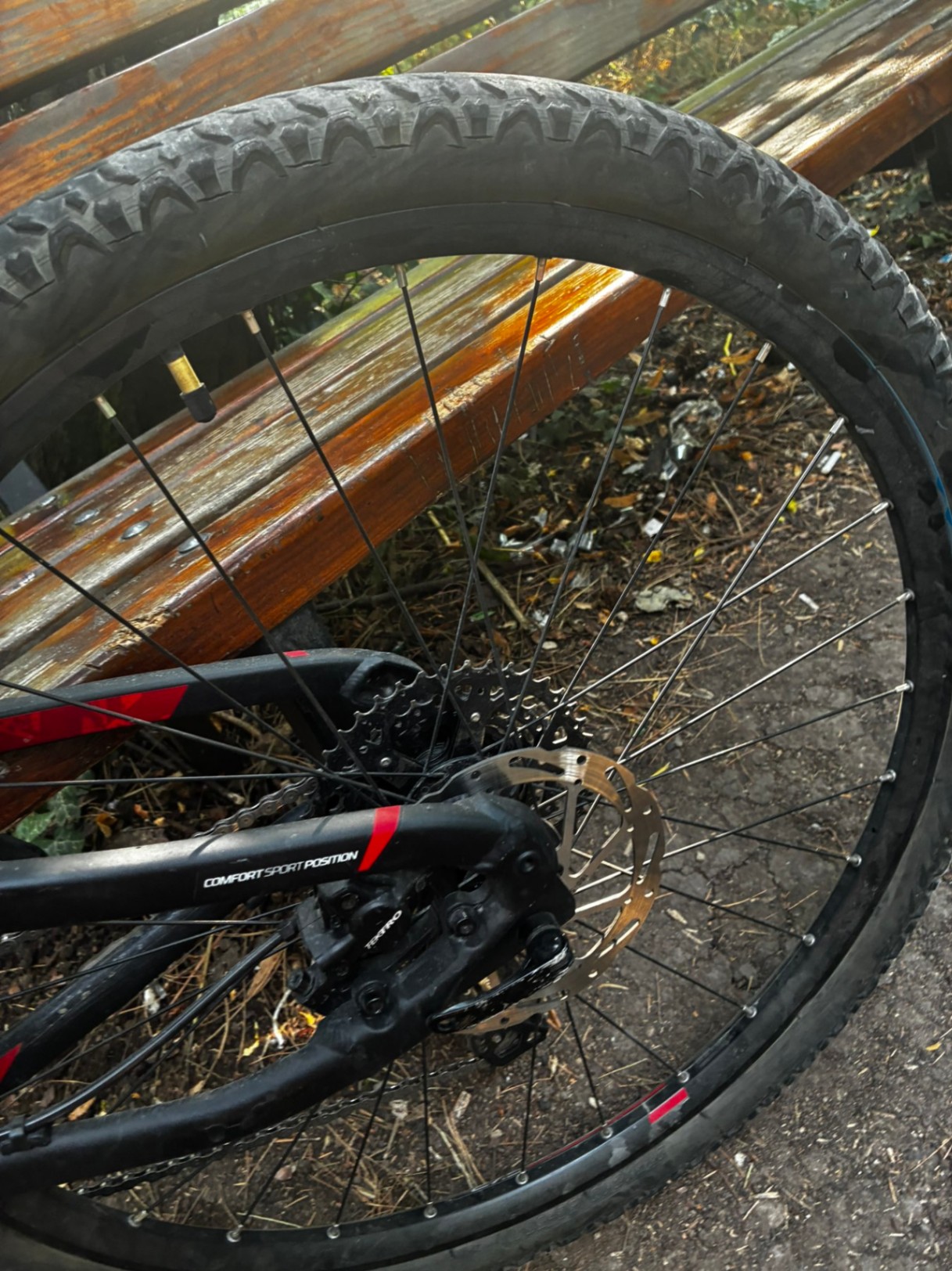 Bike view 5
