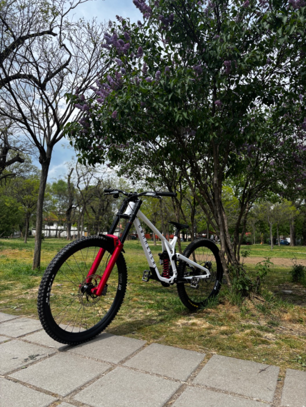 Bike view 6
