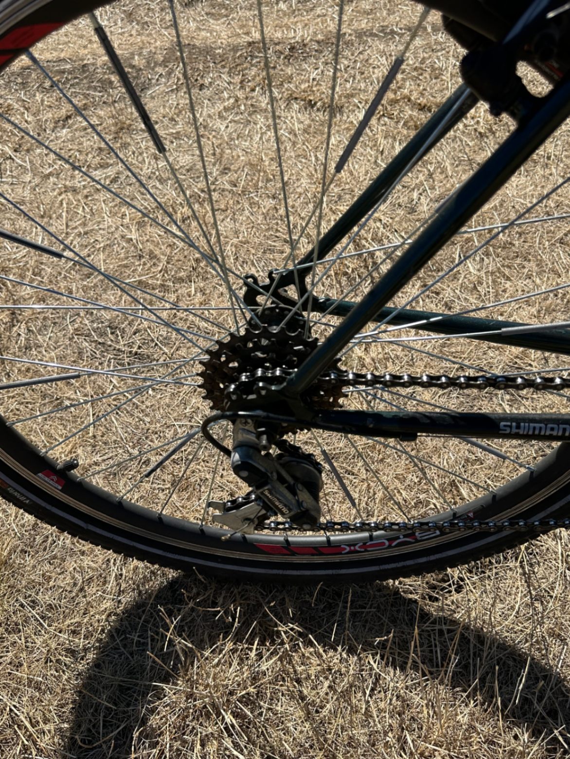 Bike view 4