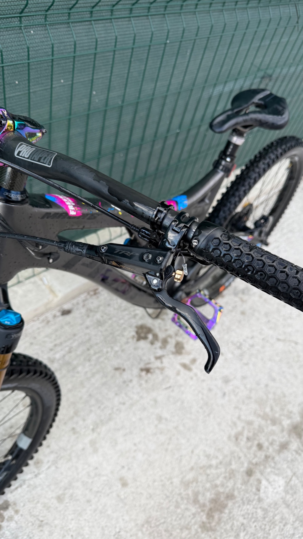 Bike view 12