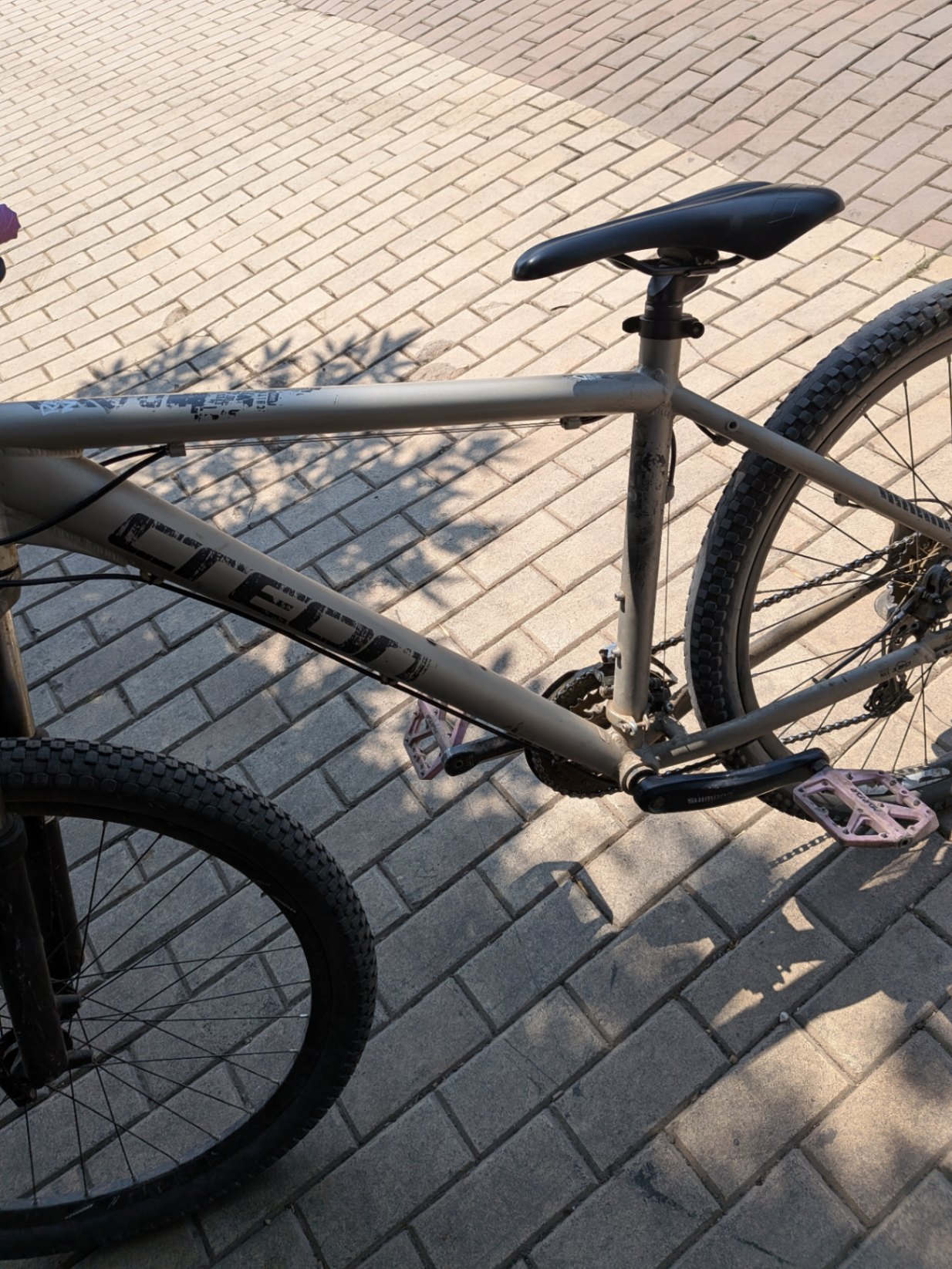 Bike view 2