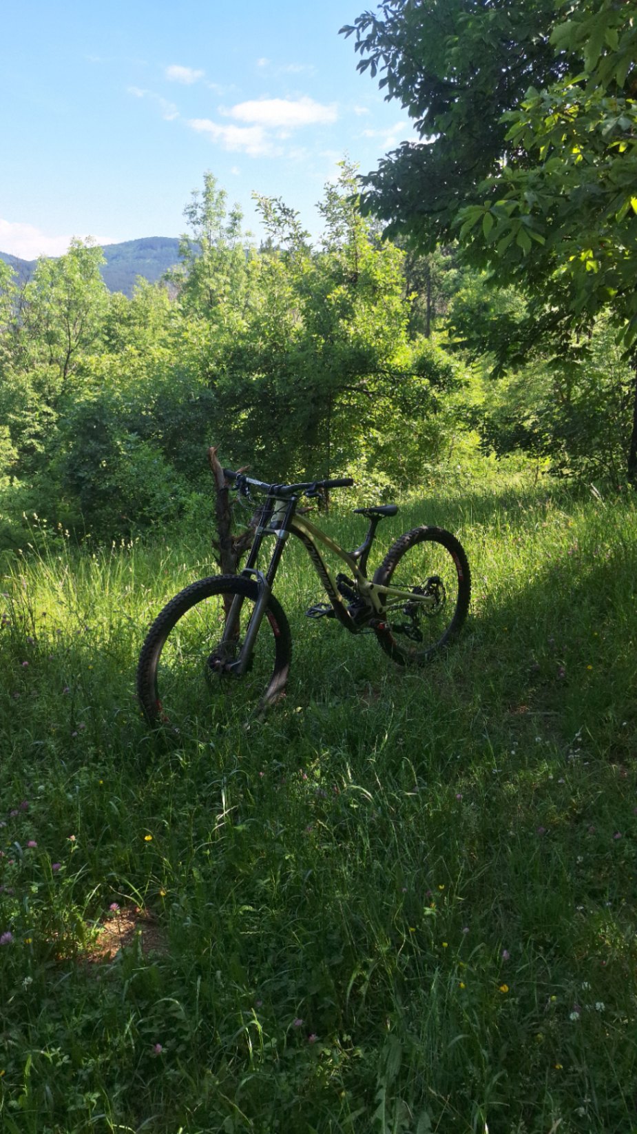 Bike view 2