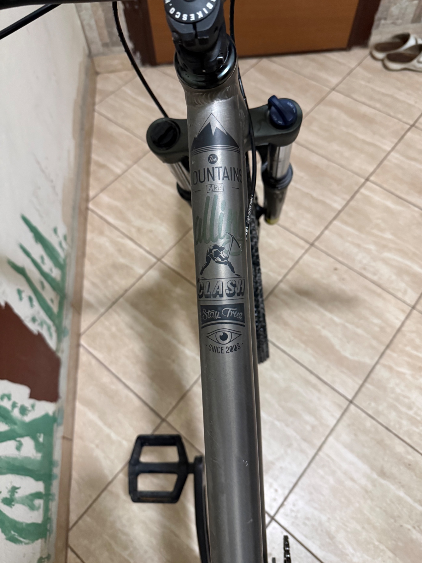 Bike view 6