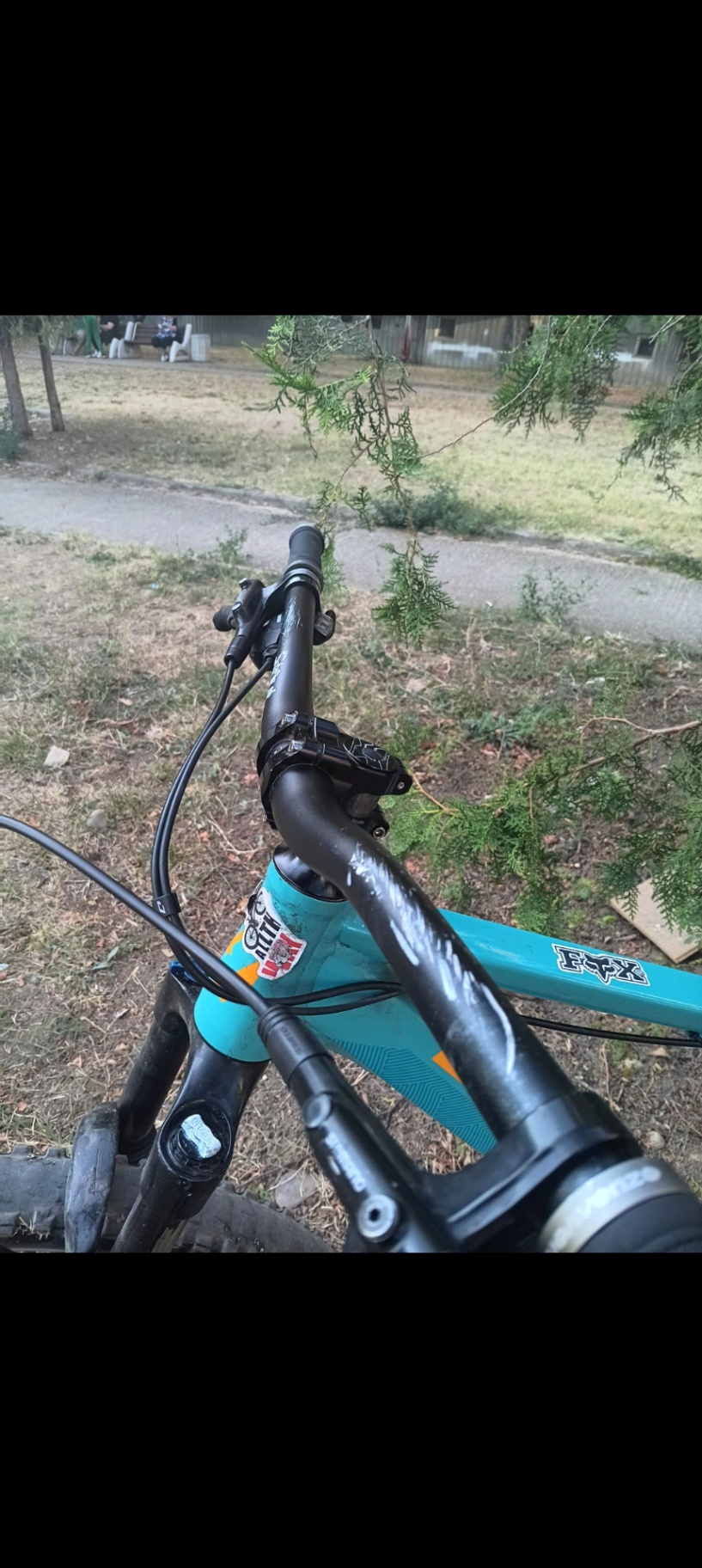 Bike view 8