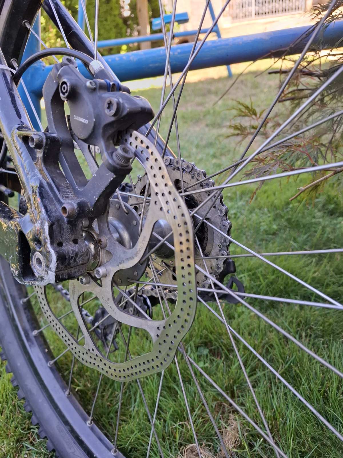 Bike view 6
