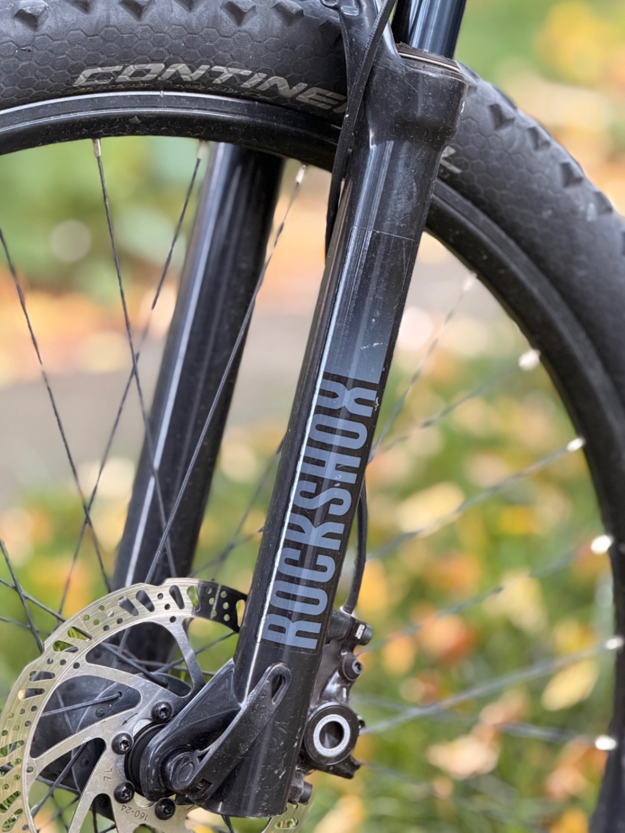 Bike view 5
