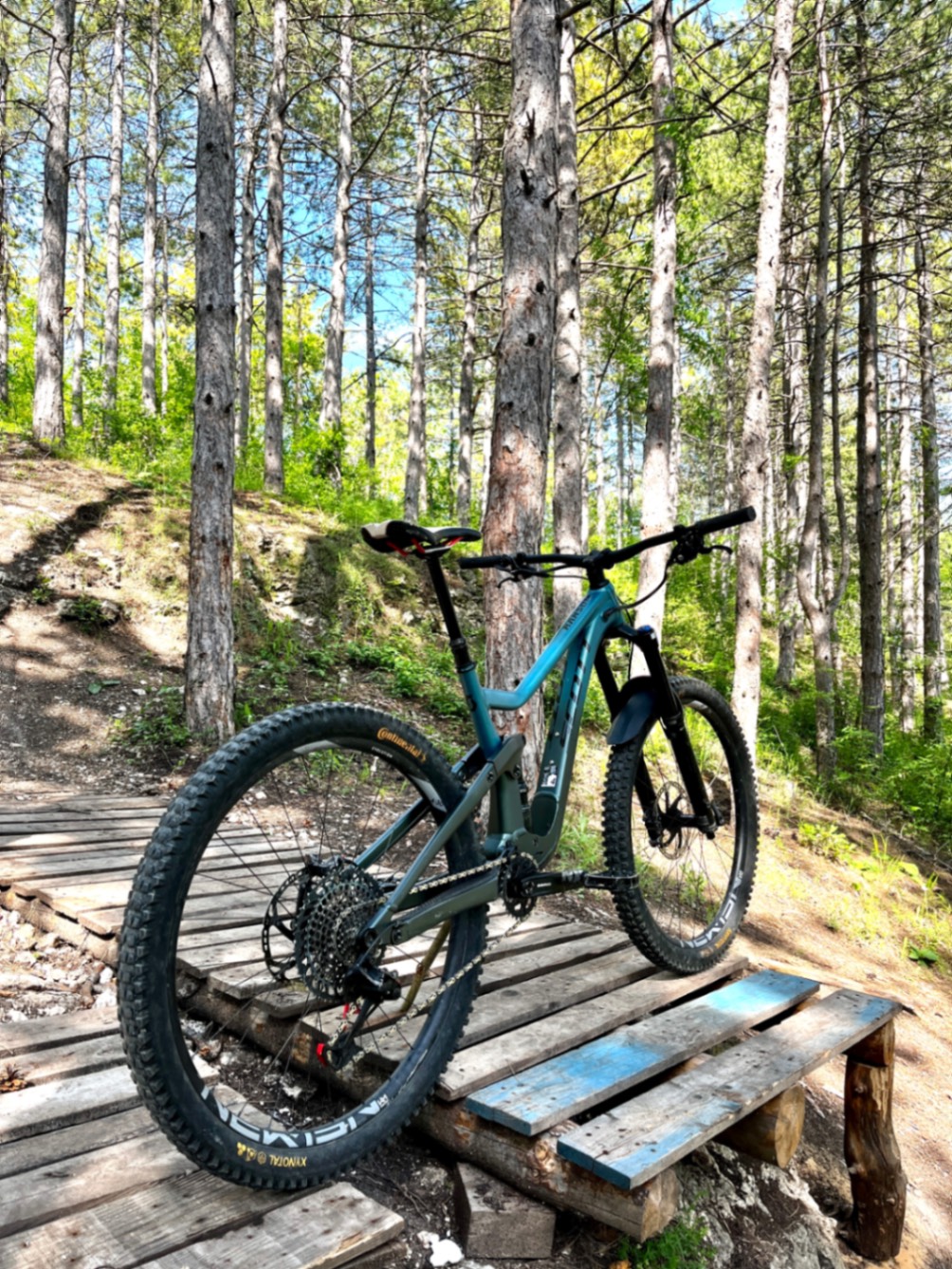Bike view 9