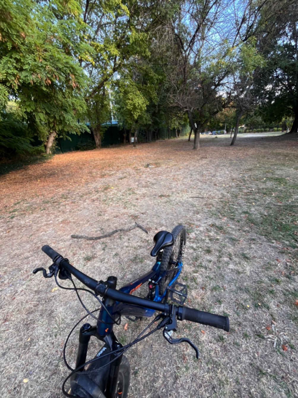 Bike view 4