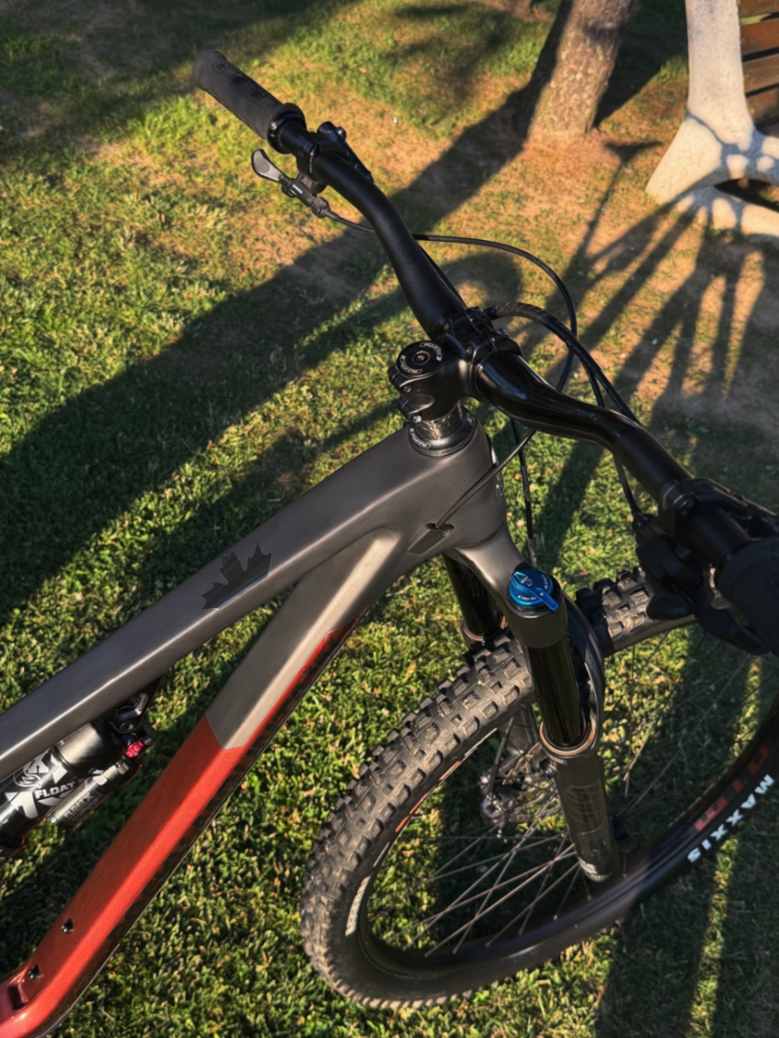 Bike view 5